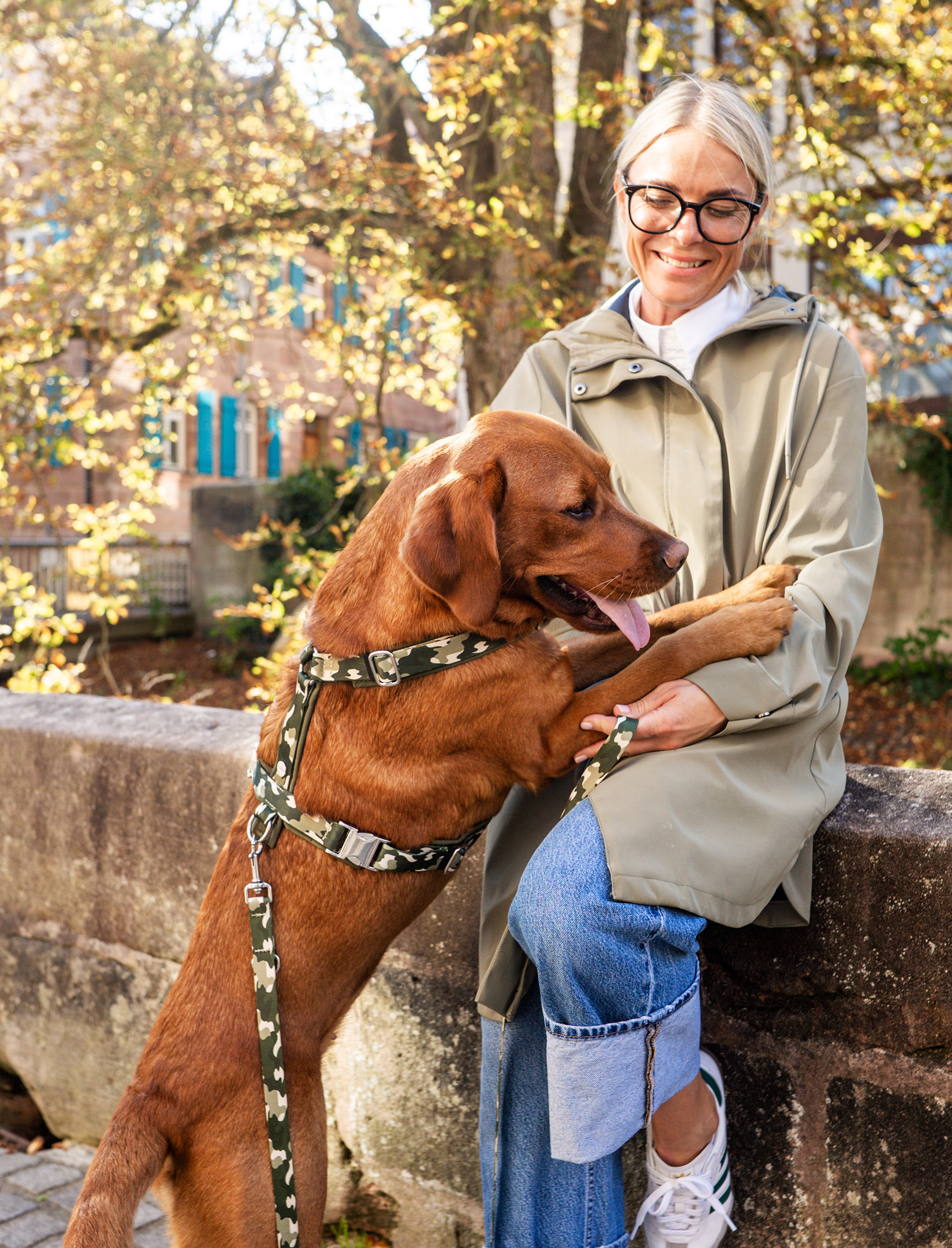 Halsband-Leinen Set Entdecker Camouflage aus der aktuellen Kollektion