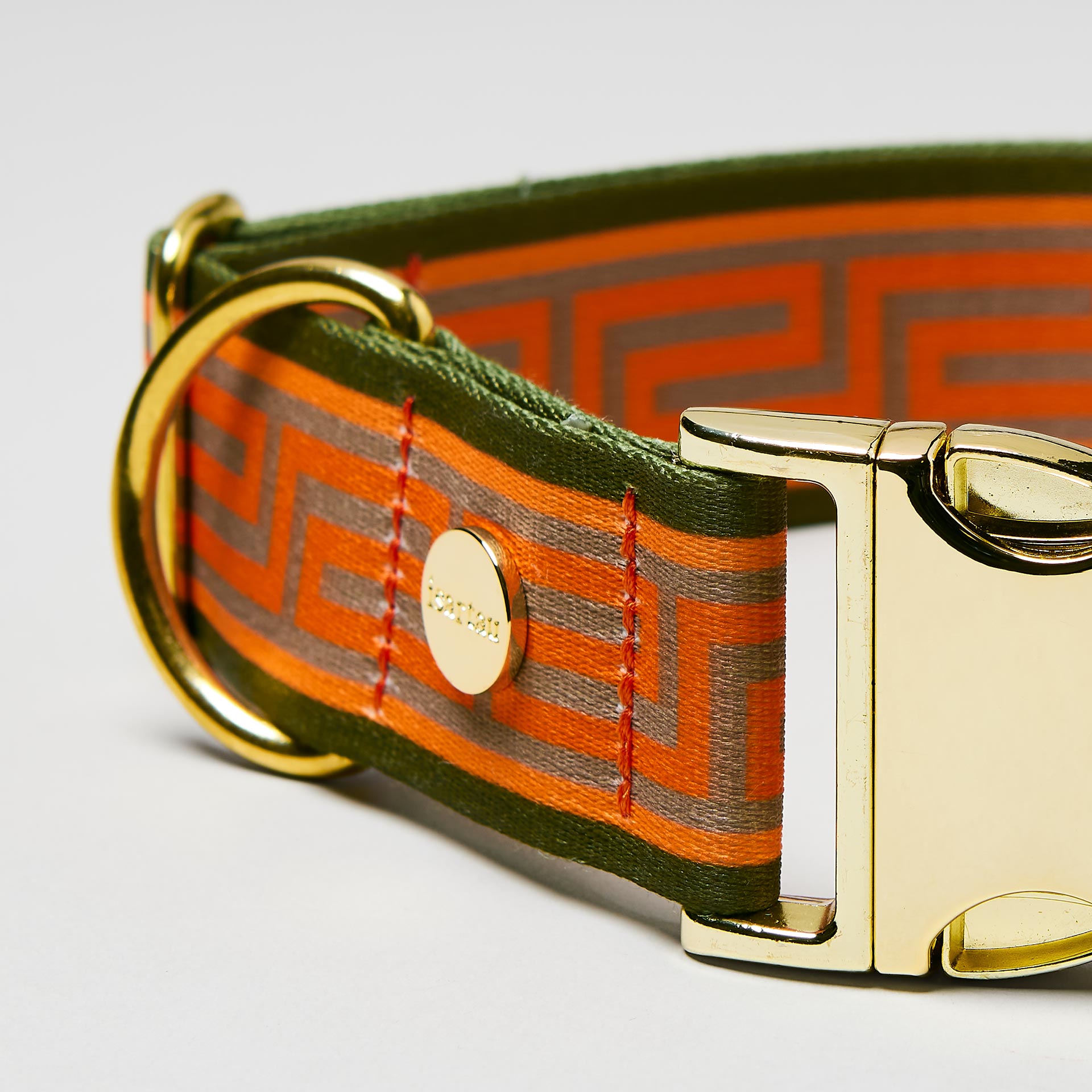 Nahaufnahme verstellbares Hundehalsband Wellenbrecher goldfarben, Gurtband mit Mäander Muster in Orange Oliv