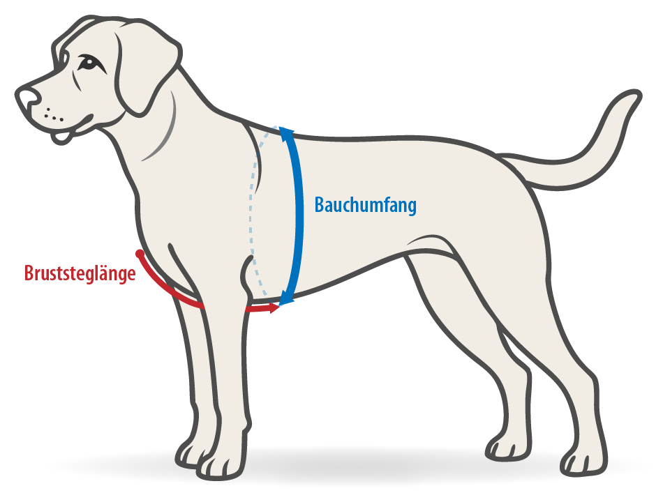 Messen Hundegeschirr