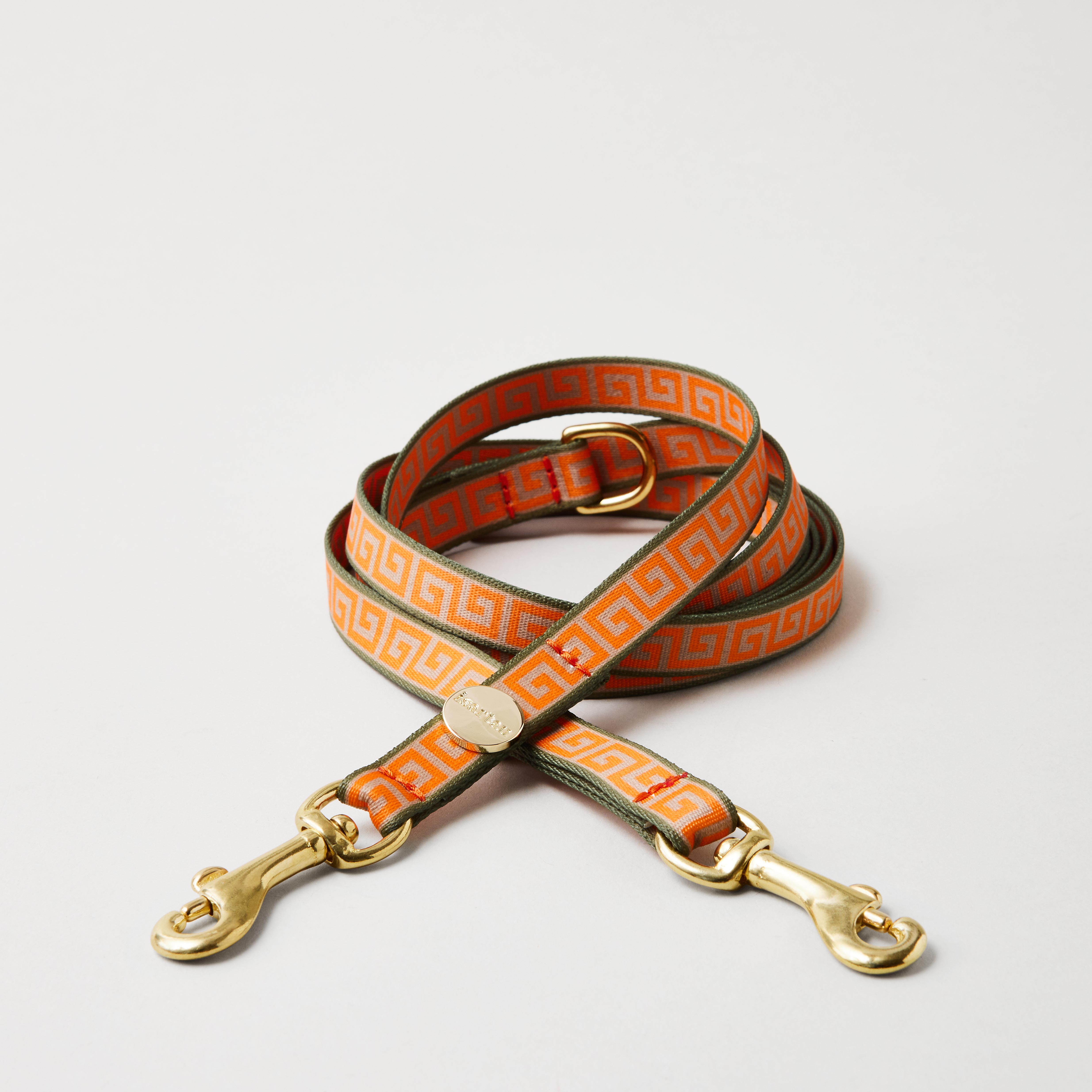 Verstellbare Hundeleine Wellenbrecher Gurtband mit Mäander Aufdruck in Orange Oliv in 15mm Breite goldfarbene kleine Karabiner