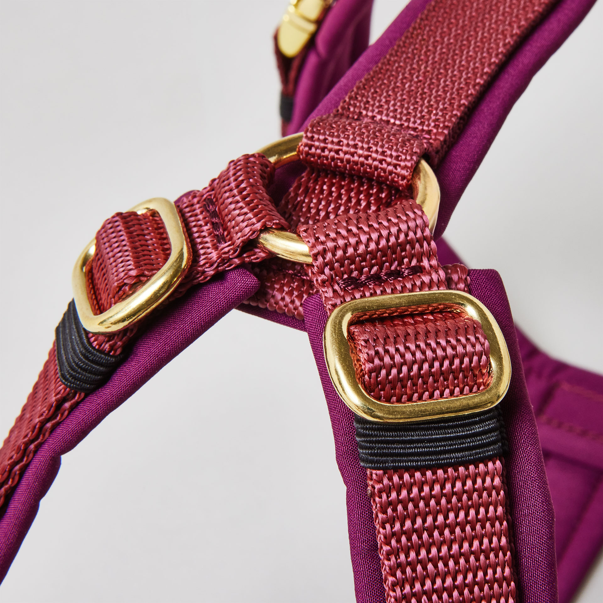 Goldfarbene verstellbare Schieber im Schulterbereich des burgunderfarbenen Hundegeschirrs.