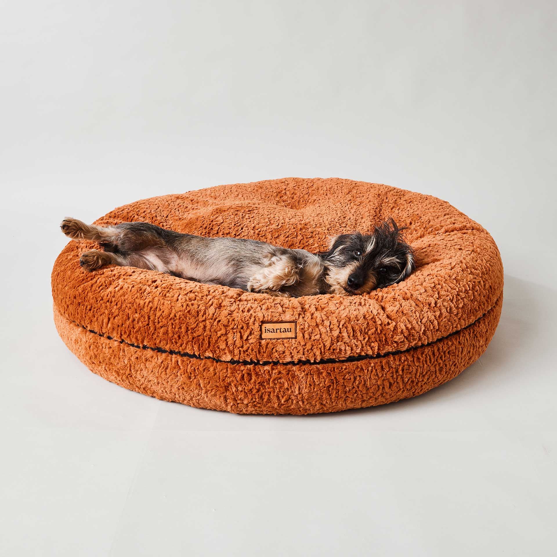 Dackel liegt in orthopädischen runden Hundebett Bagelbettchen, Farbe Zimt