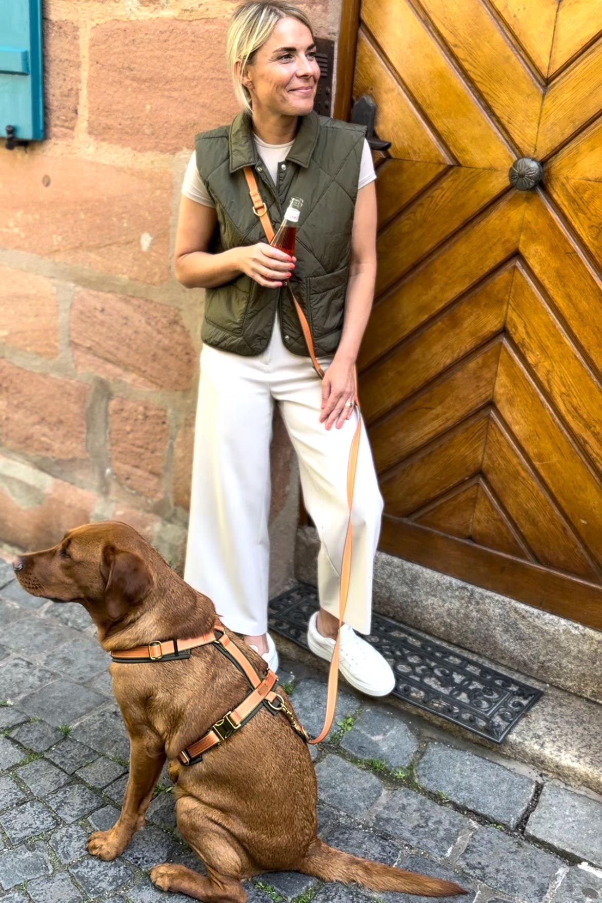 Designerleine Wellenbrecher, Modell Umhängeleine mit Labrador und Hundegeschirr Wellenbrecher