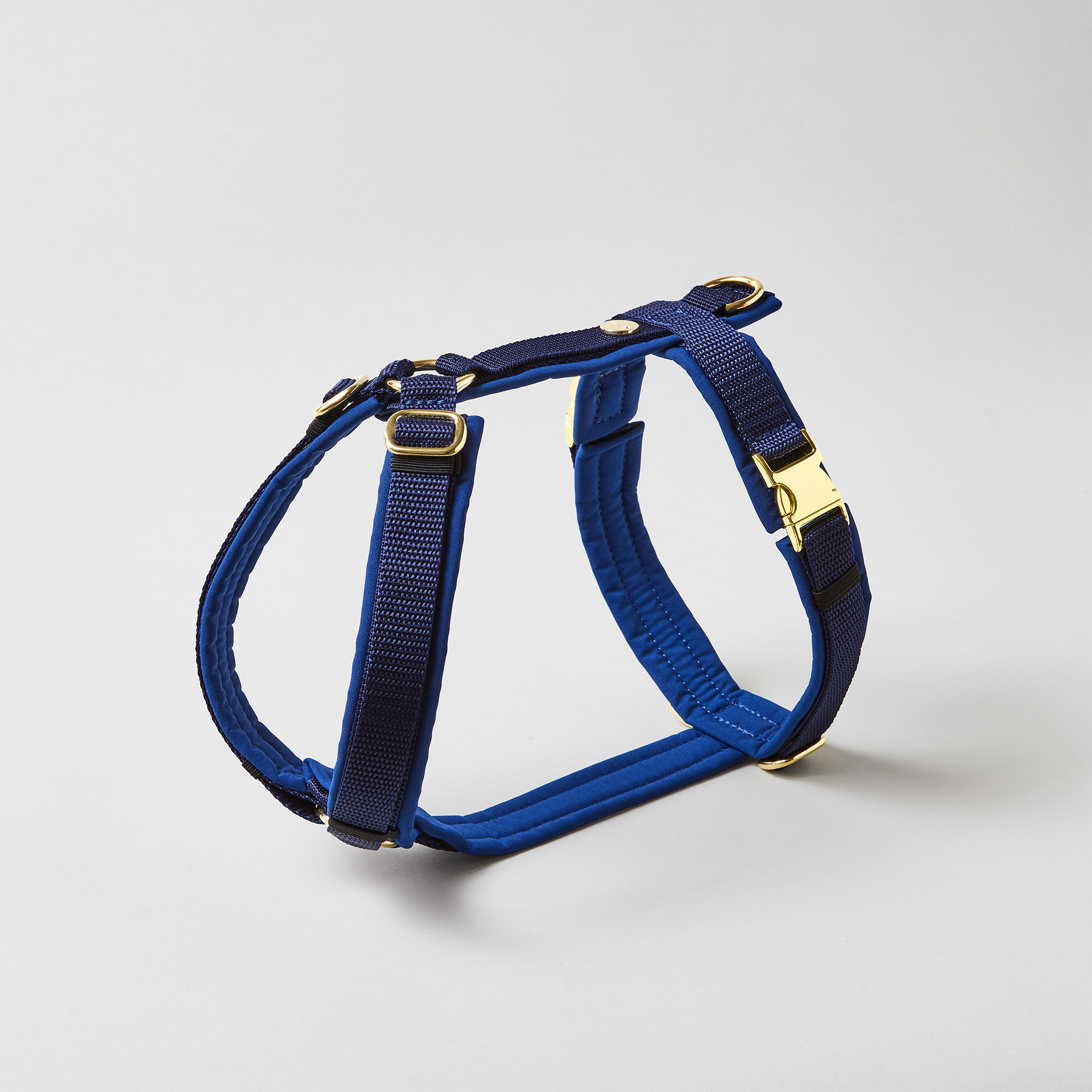 Verstellbares Hundegeschirr in Dunkelblau mit vollunterlegter Polsterung und goldfarbenen Beschlägen