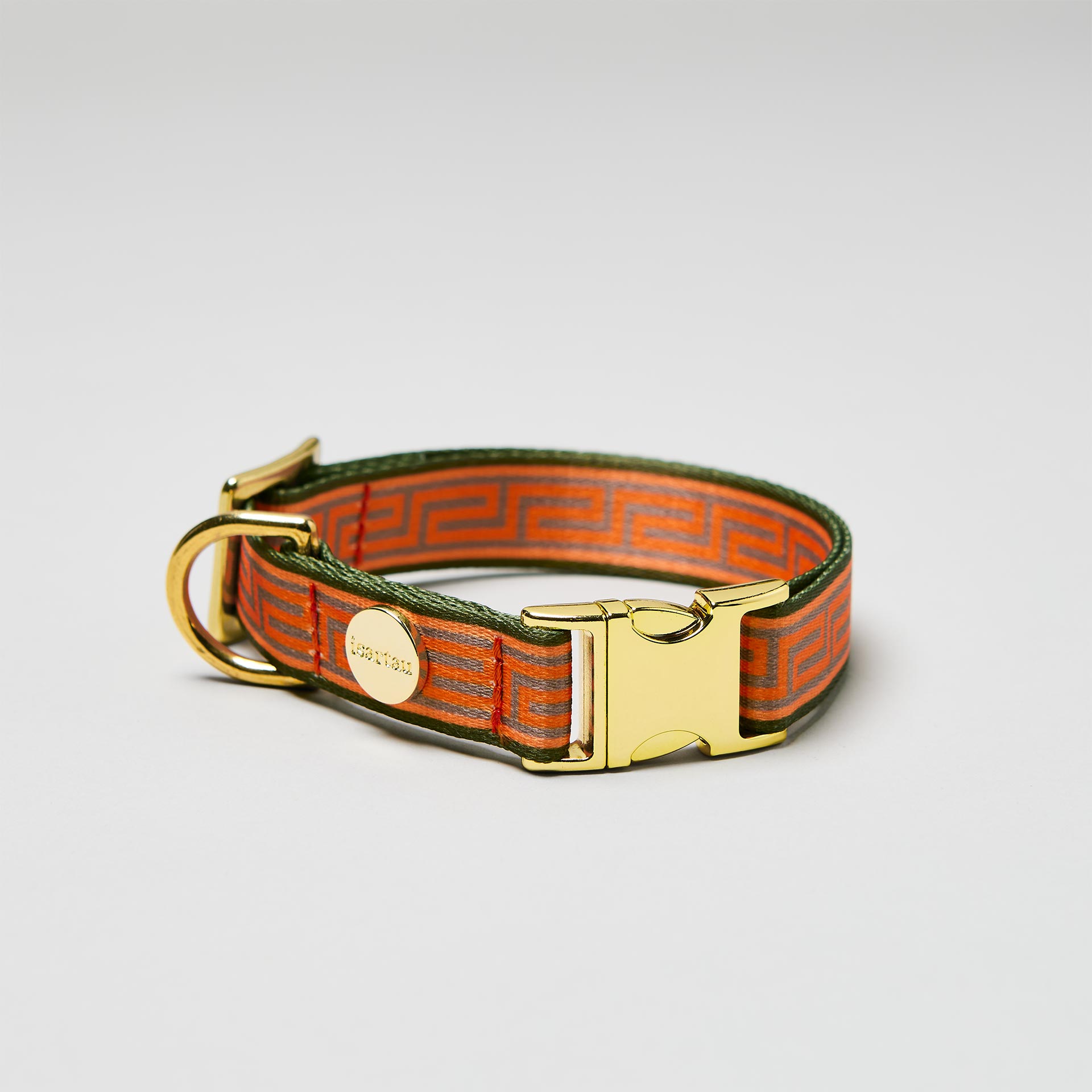 Verstellbares Welpen Halsband Wellenbrecher goldfarbene Schließe, Gurtband bedruckt mit Mäander Motiv