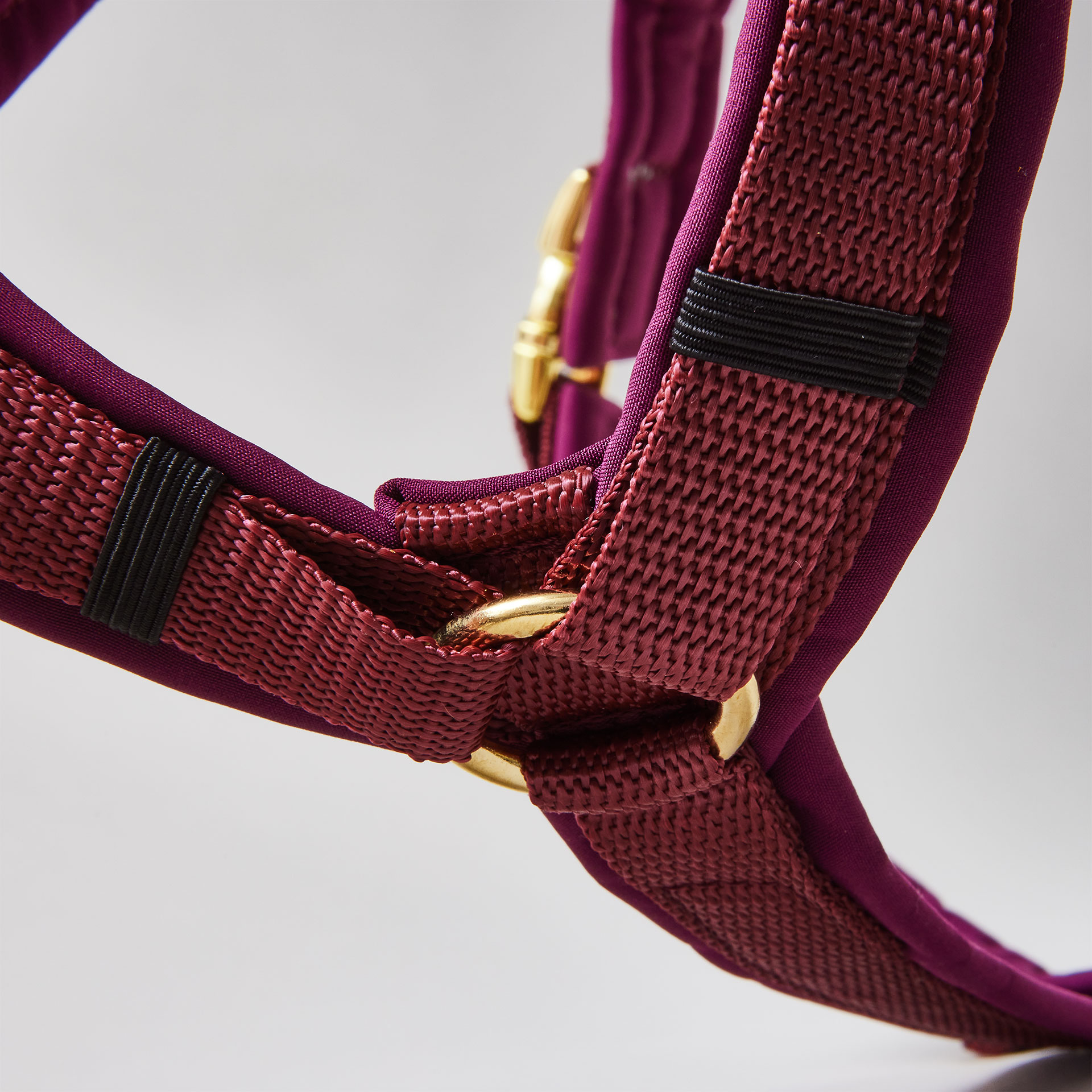 Y-förmiges Hundegeschirr in Burgunder mit Polsterung aus Softshell und goldfarbenen Beschlägen.