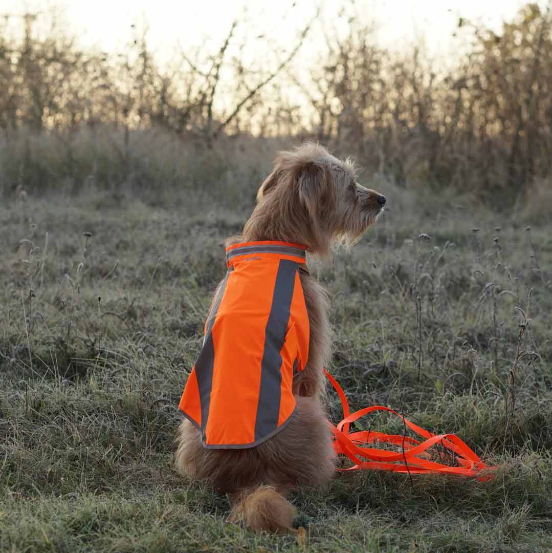 Hundewarnweste in Neonorange mit Schleppleine in Neonorange
