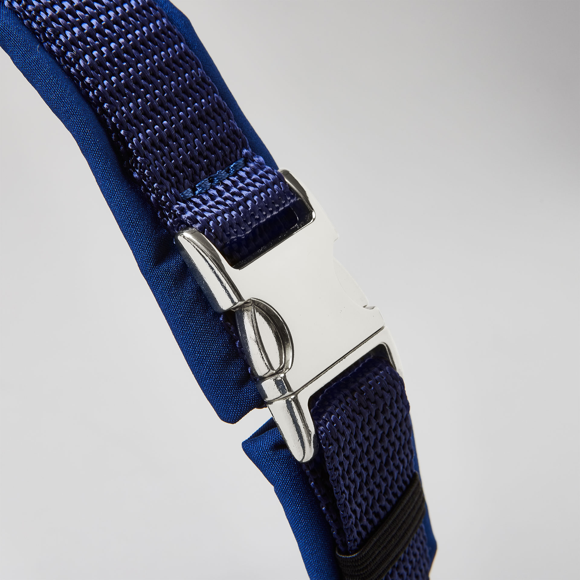 silberfarbene Steckschließe am Bauchgurt, dunkelblaues Hundegeschirr