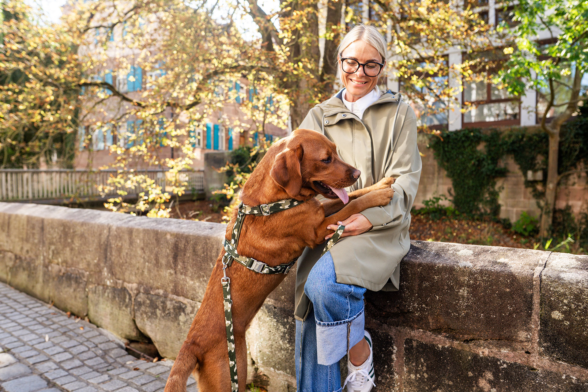 Labrador hüpft an Besitzerin hoch, trägt dabei Hundegeschirr Entdecker