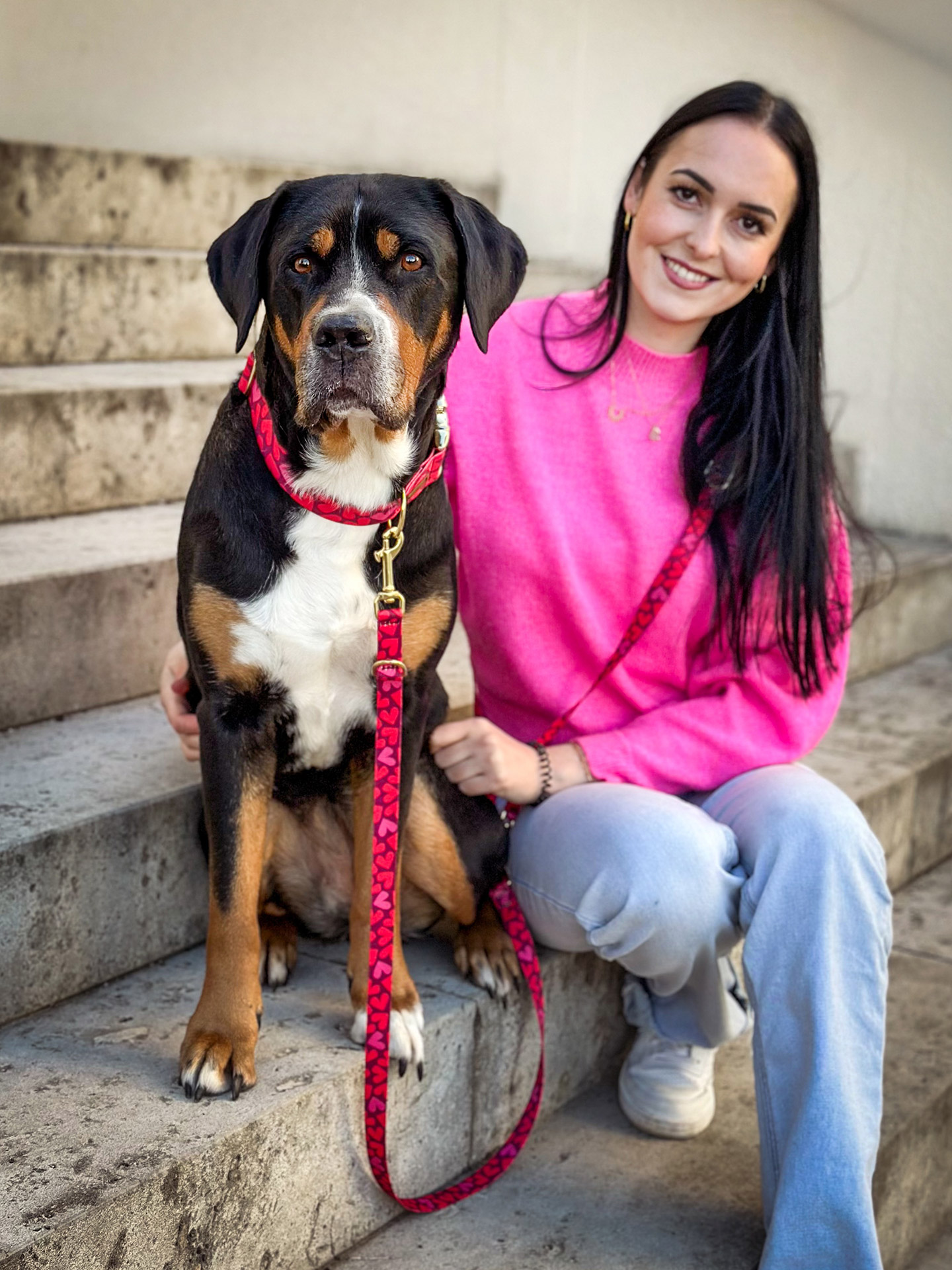 Großer Schweizer Sennenhund mit Halsband und Leinen Set im Design Herzklopfen, Herzprint in Rot