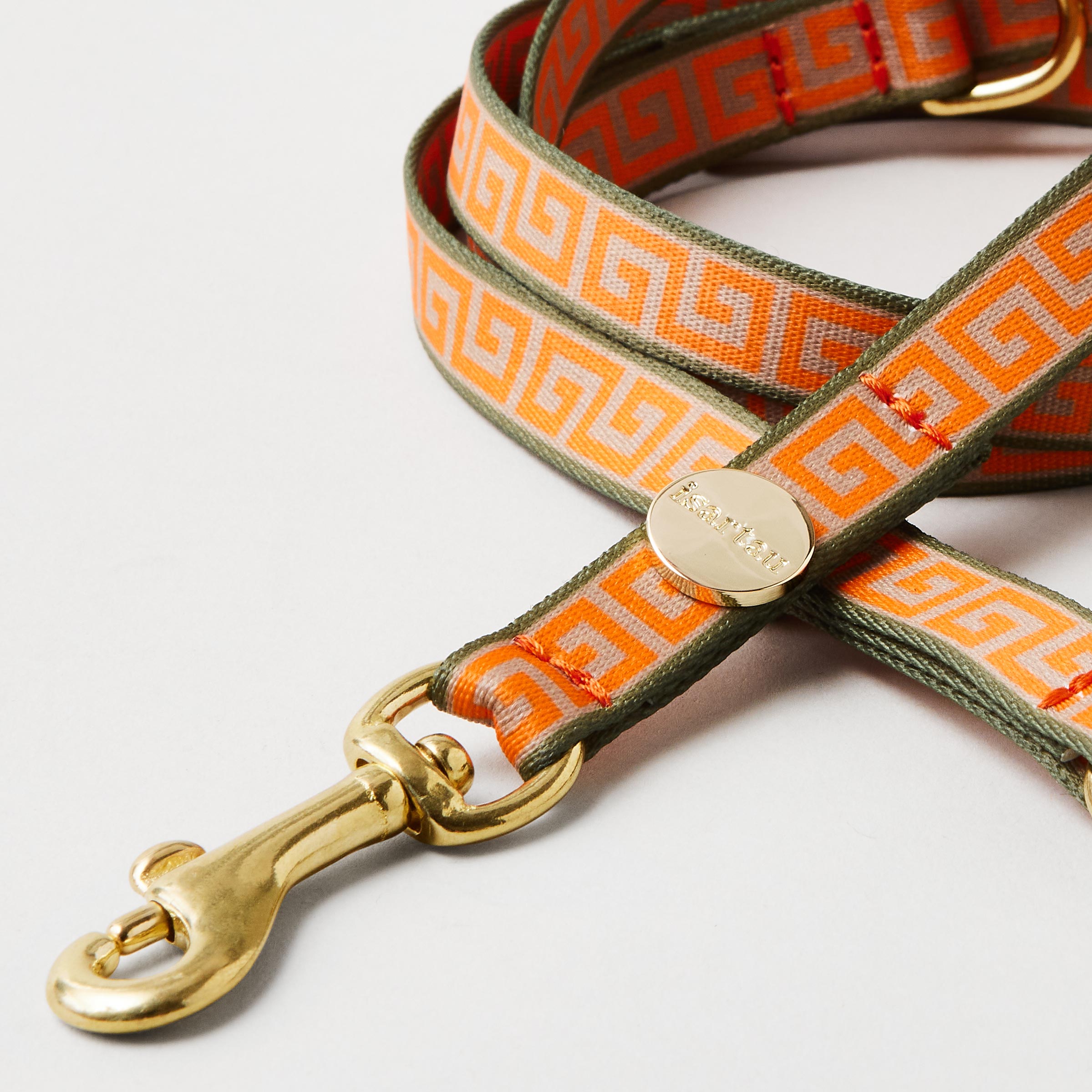 Detail schmale Hundeleine Wellenbrecher Gurtband im Mäander Stil in 15mm Breite goldfarbene Mini-Karabiner