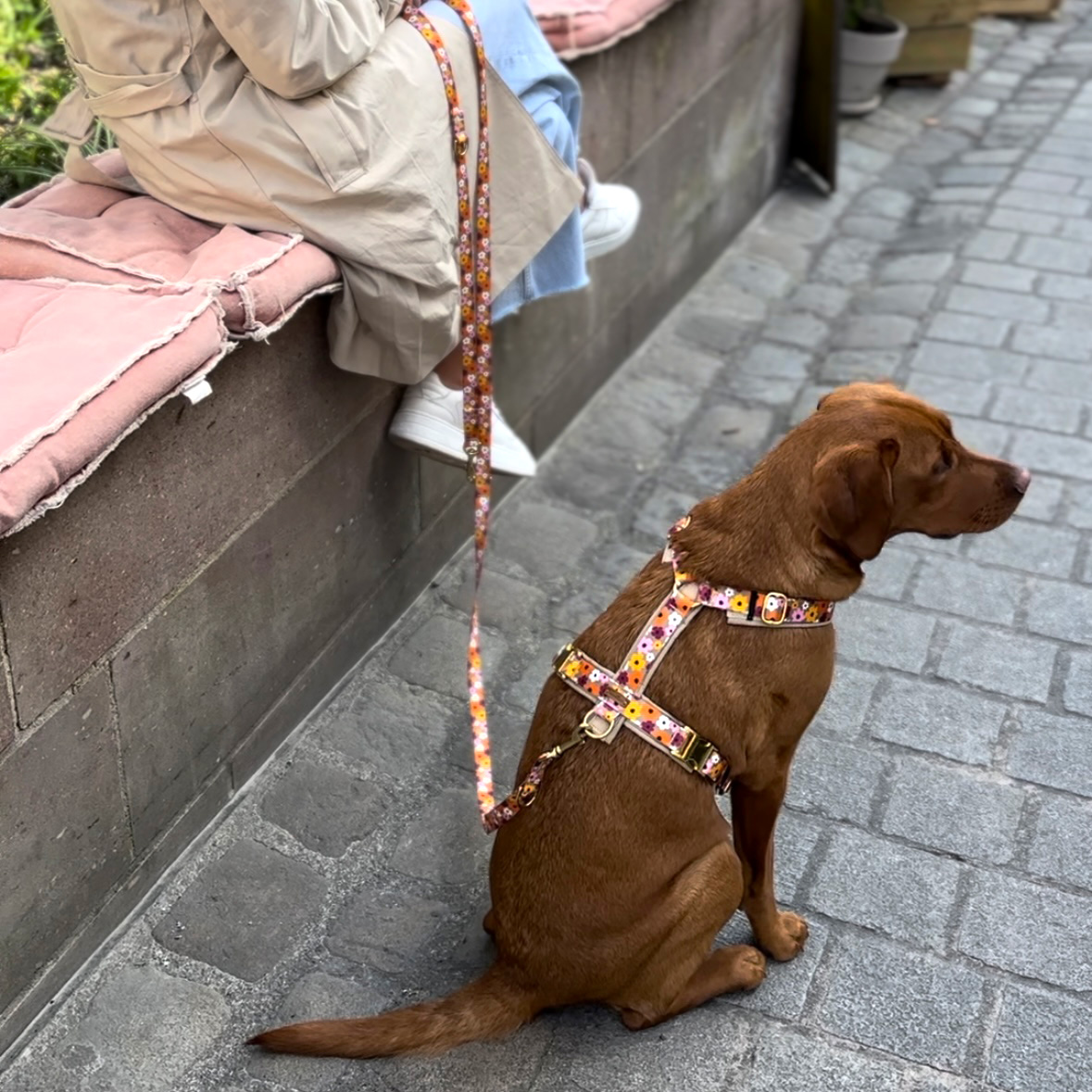 Labrador Nala im Blumenmeer, Größe L