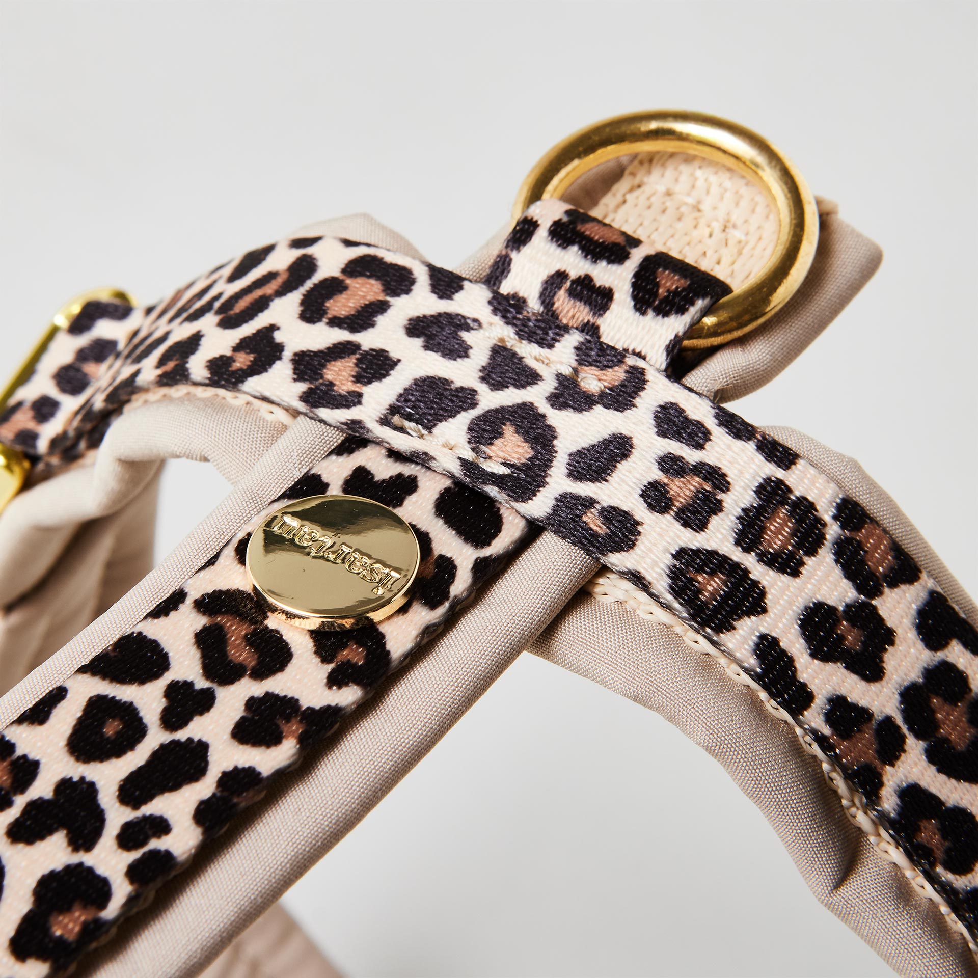 Extra gepolsterter O-Ring zum Einhaken des Karabiners am gepolsterten Hundegeschirr Leo mit goldfarbenen Beschlägen