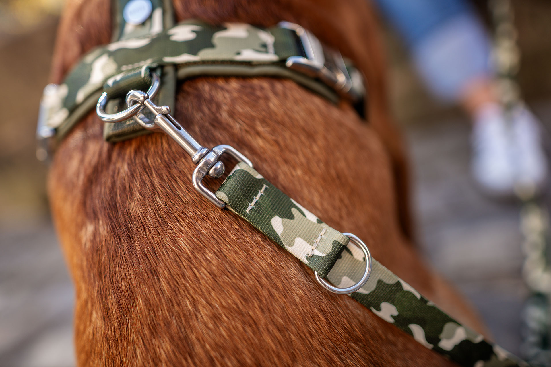 Gepolsterter O-Ring verhindert punktuelles Aufschlagen auf die Wirbelsäule