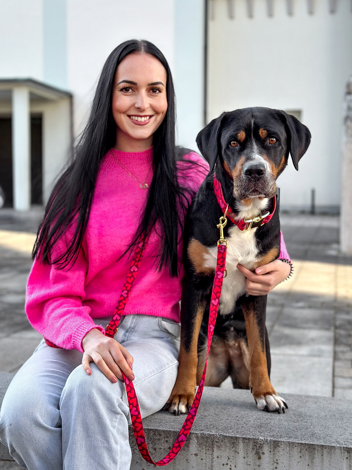 Großer Schweizer Sennenhund mit Halsband und Leinen Set im Design Herzklopfen, Herzprint in Rot