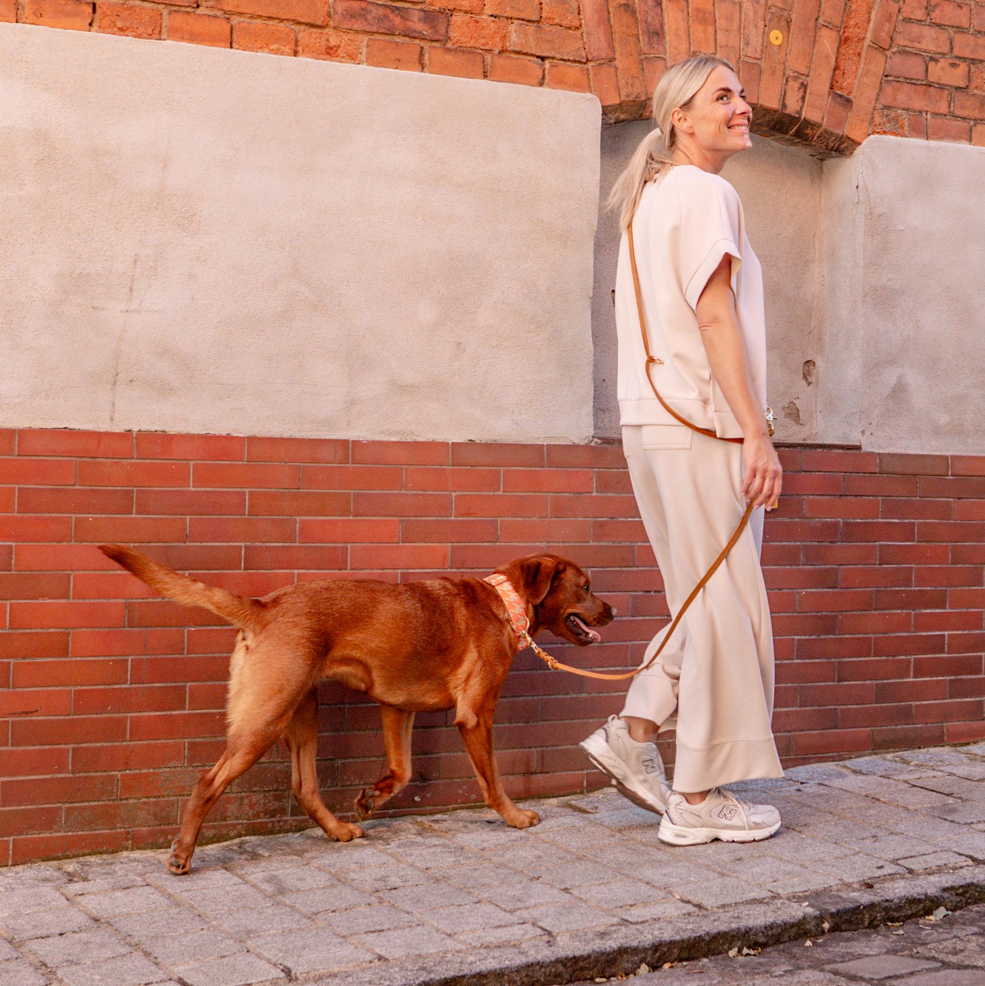 Labrador spaziert durch die Stadt, Halsband Designerhalsband Walker