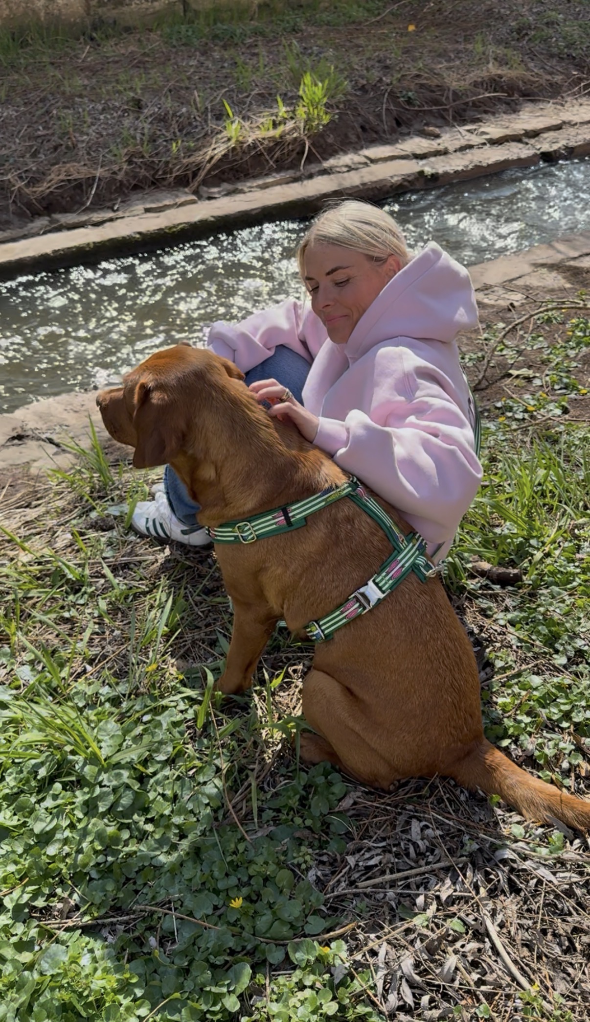 Labrador sitzt am Flussufer mti Besitzerin, Hund trägt Design mit Fischmuster, SALTY
