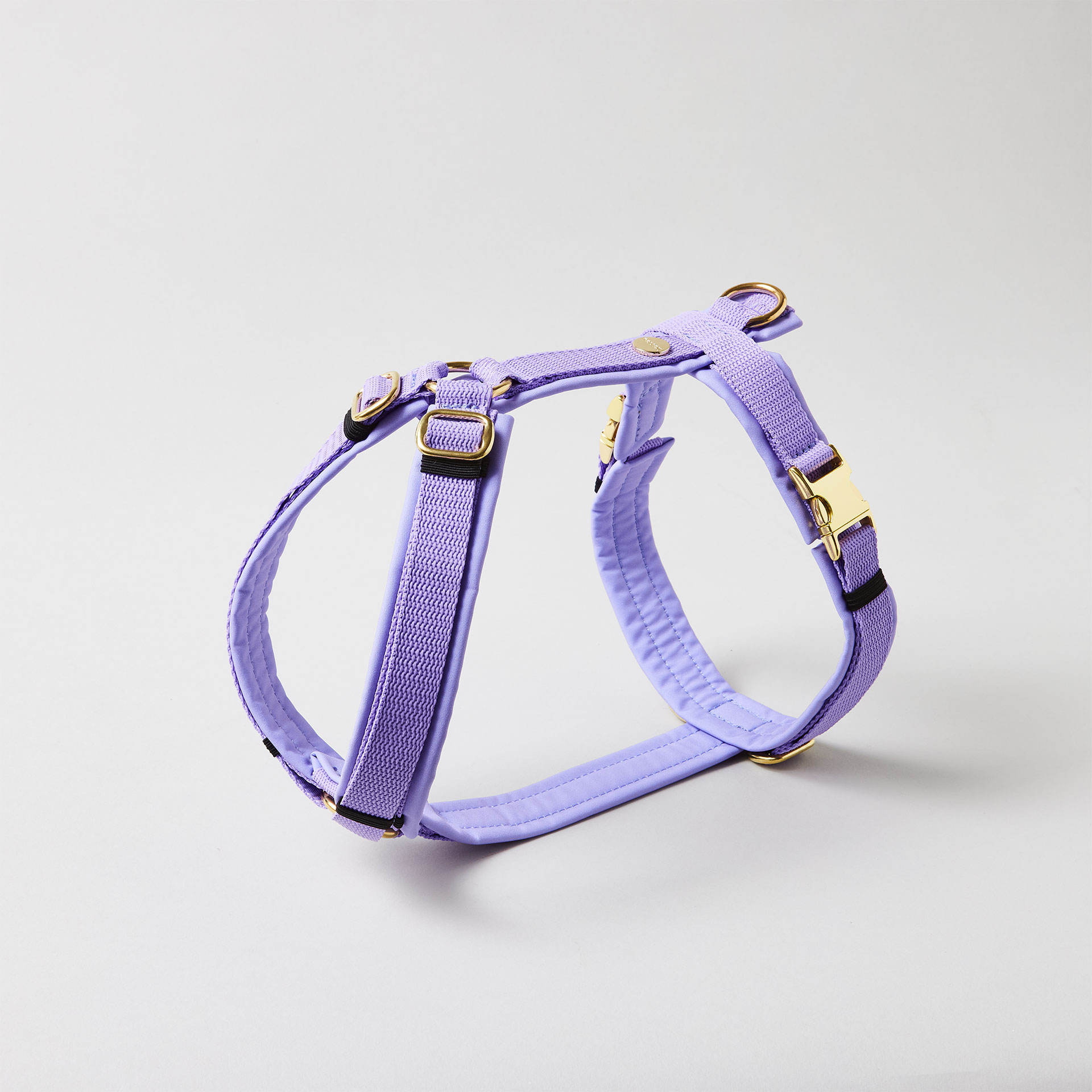 Verstellbares Hundegeschirr in Lavendel mit vollunterlegter Polsterung und goldfarbenen Beschlägen