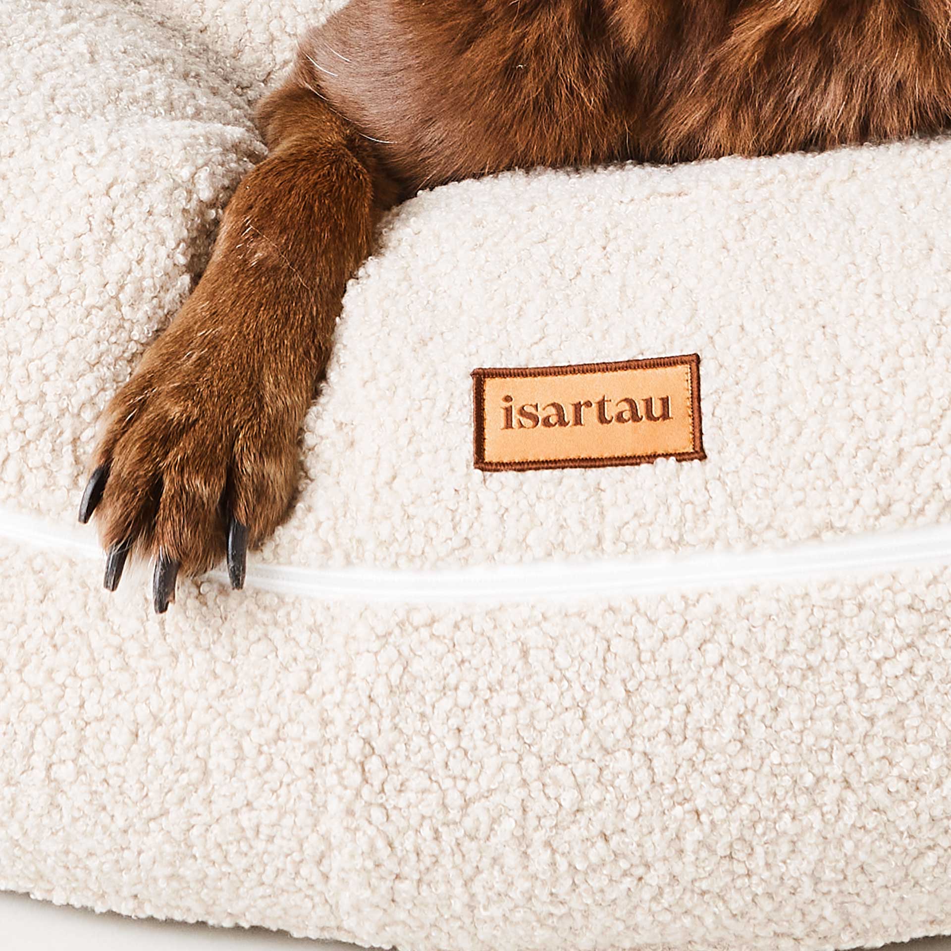 Detailfoto Aussiedor liegt in Hundebett Bagelbett, Teddystoff Sand