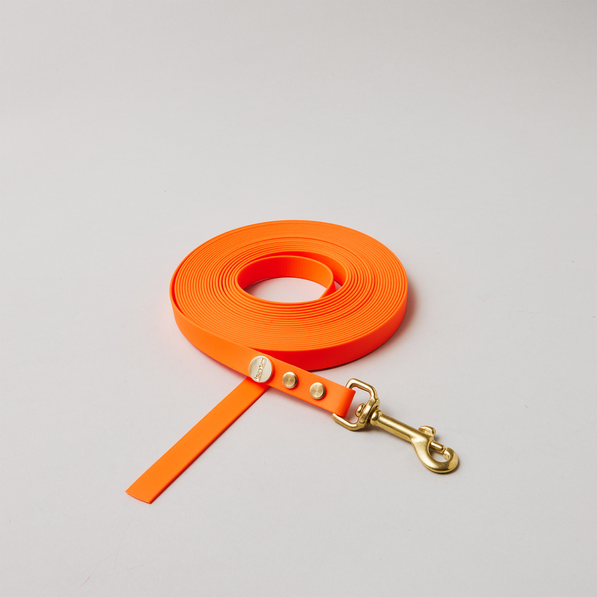 Schleppleine ohne Handschlaufe in Neonorange, Bolzenkarabiner aus Messing, 16mm breit, für große Hunde