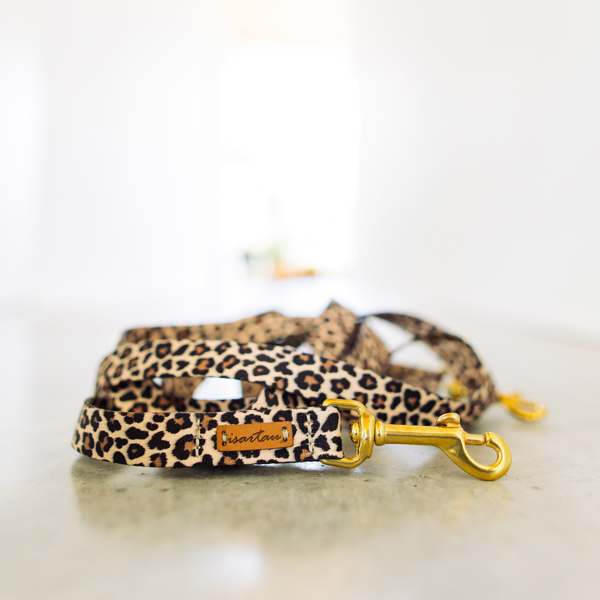 Hundeleine aus Gurtband mit Leoprint