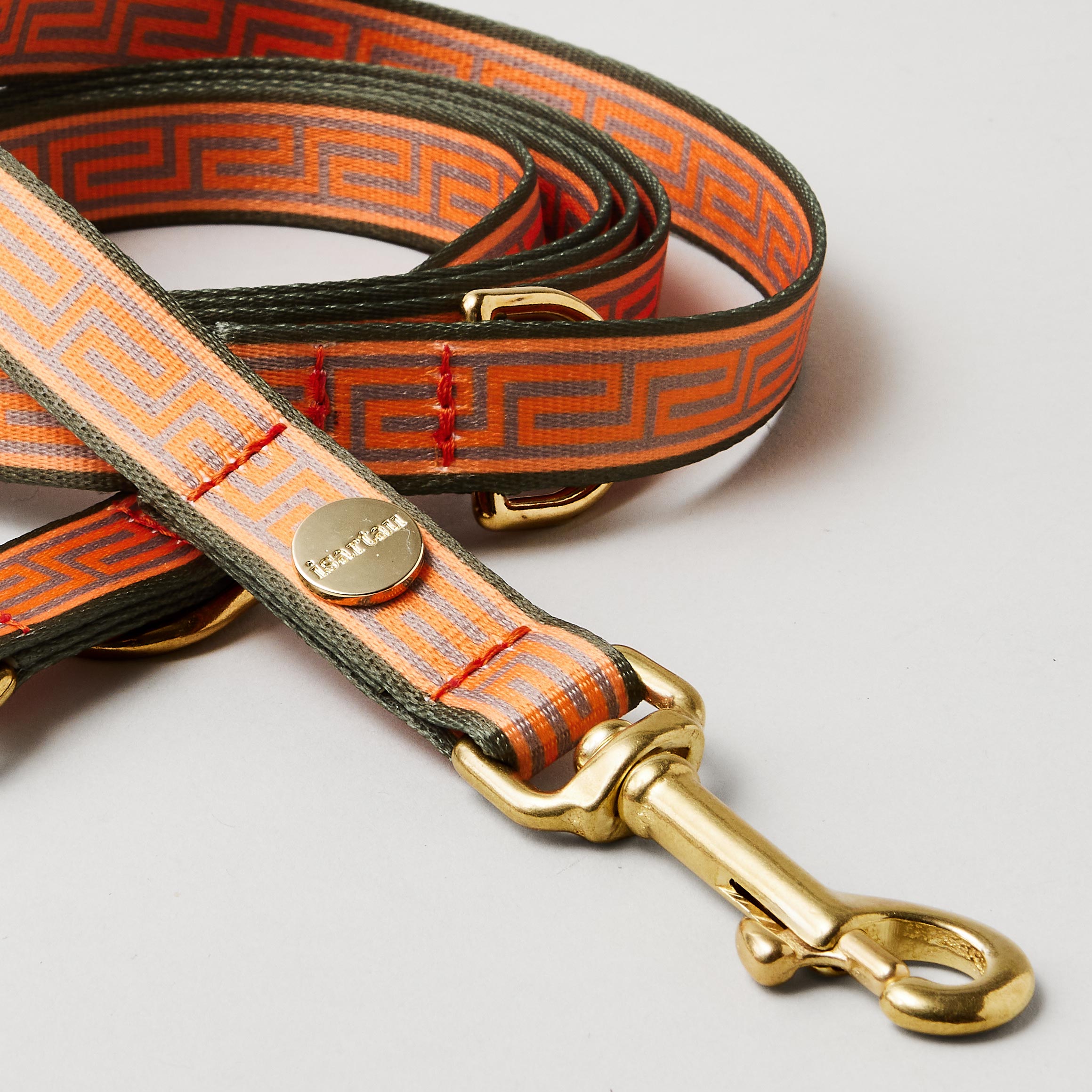 Detail verstellbare Hundeleine Wellenbrecher 20mm breites Gurtband mit Mäander Muster goldfarbene Karabiner