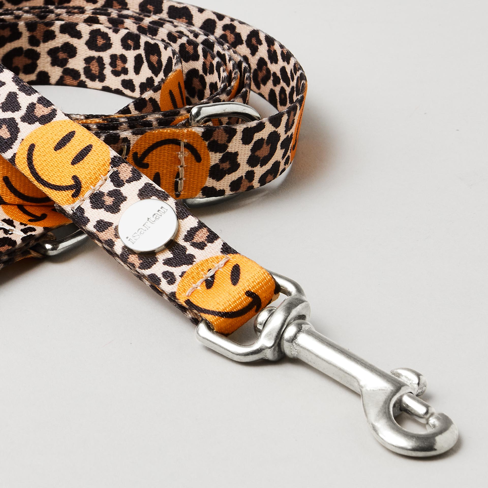 Detail schmale Hundeleine Leo Gurtband mit Leo-Smile-Motiv in 15mm Breite silberfarbene Mini-Karabiner