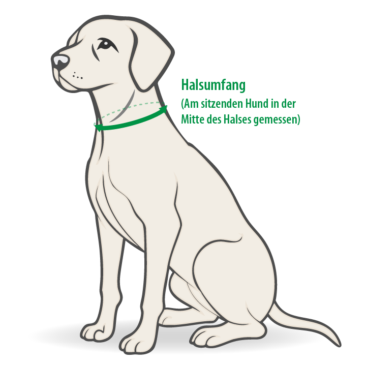 Messen Halsbänder