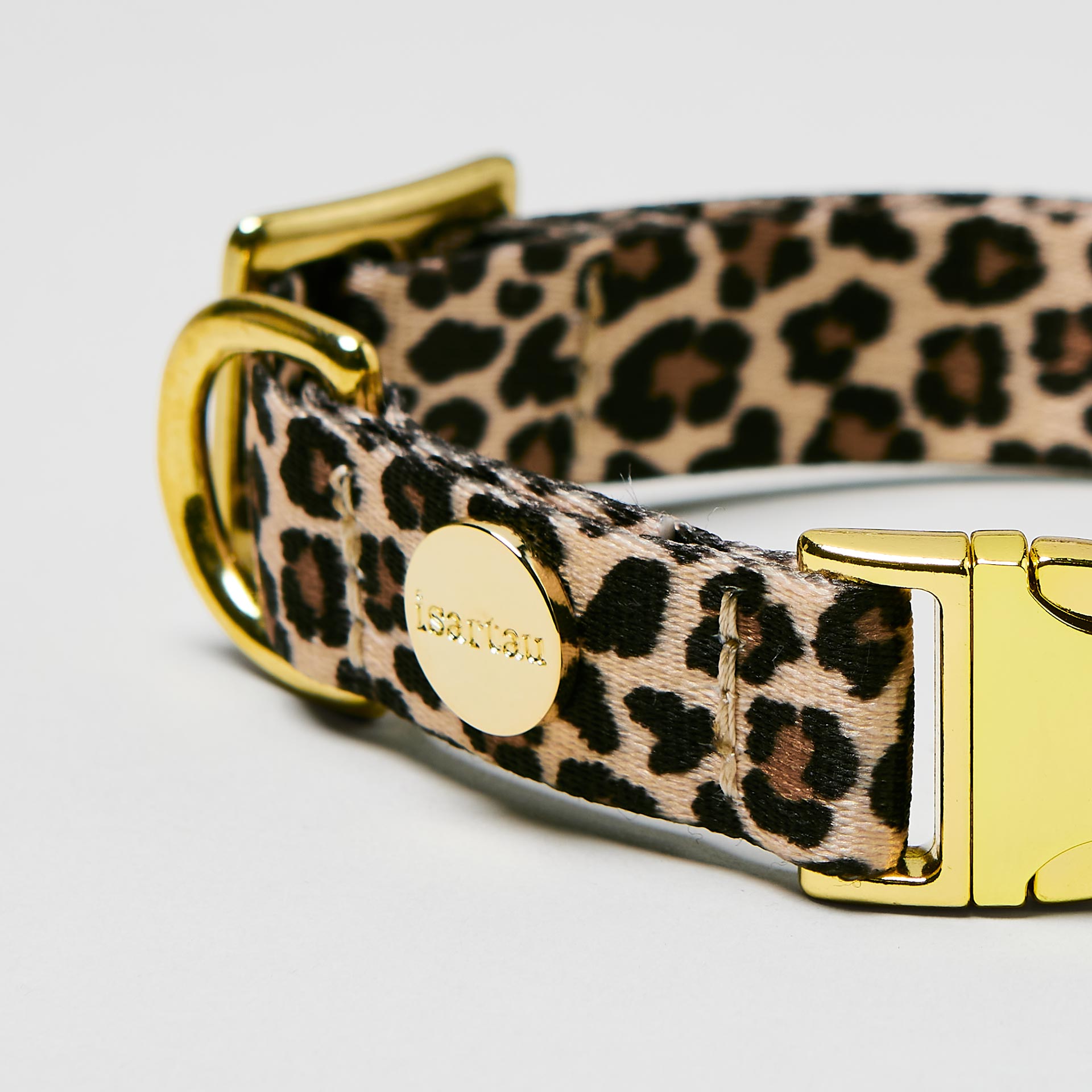 Nahaufnahme verstellbares Welpenhalsband Leo, Gurtband im Leo Stil, goldfarbene Schließe