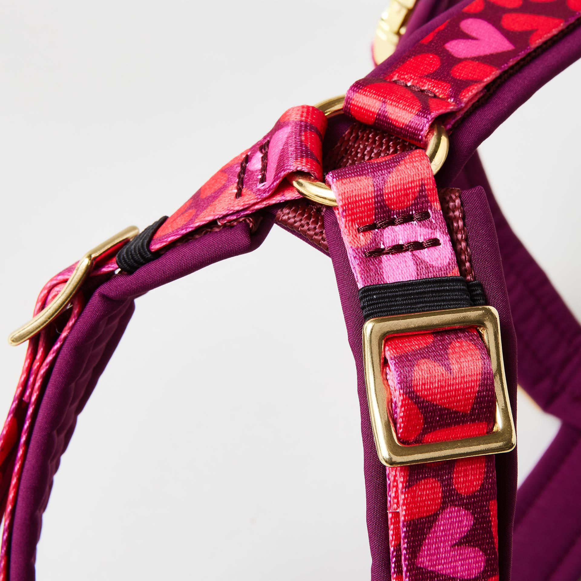 Detail verstellbares gepolstertes Hundegeschirr Herzklopfen mit goldfarbenem Gurtbandschieber zur Größenanpassung