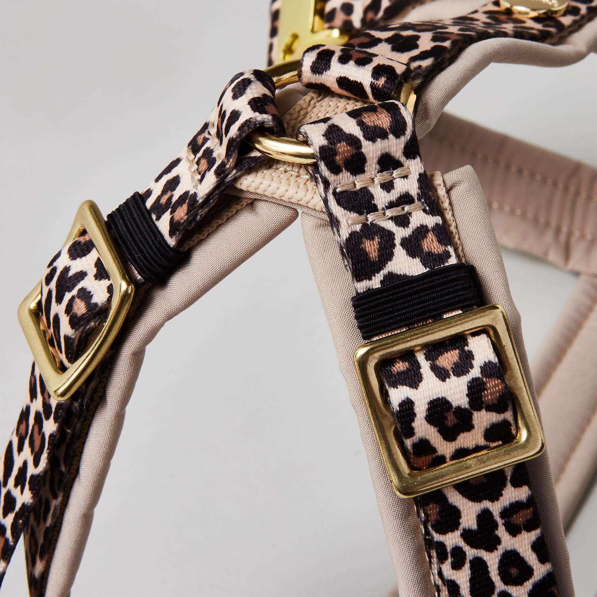 Detail verstellbares gepolstertes Hundegeschirr Leo mit goldfarbenem Gurtbandschieber zur Größenanpassung