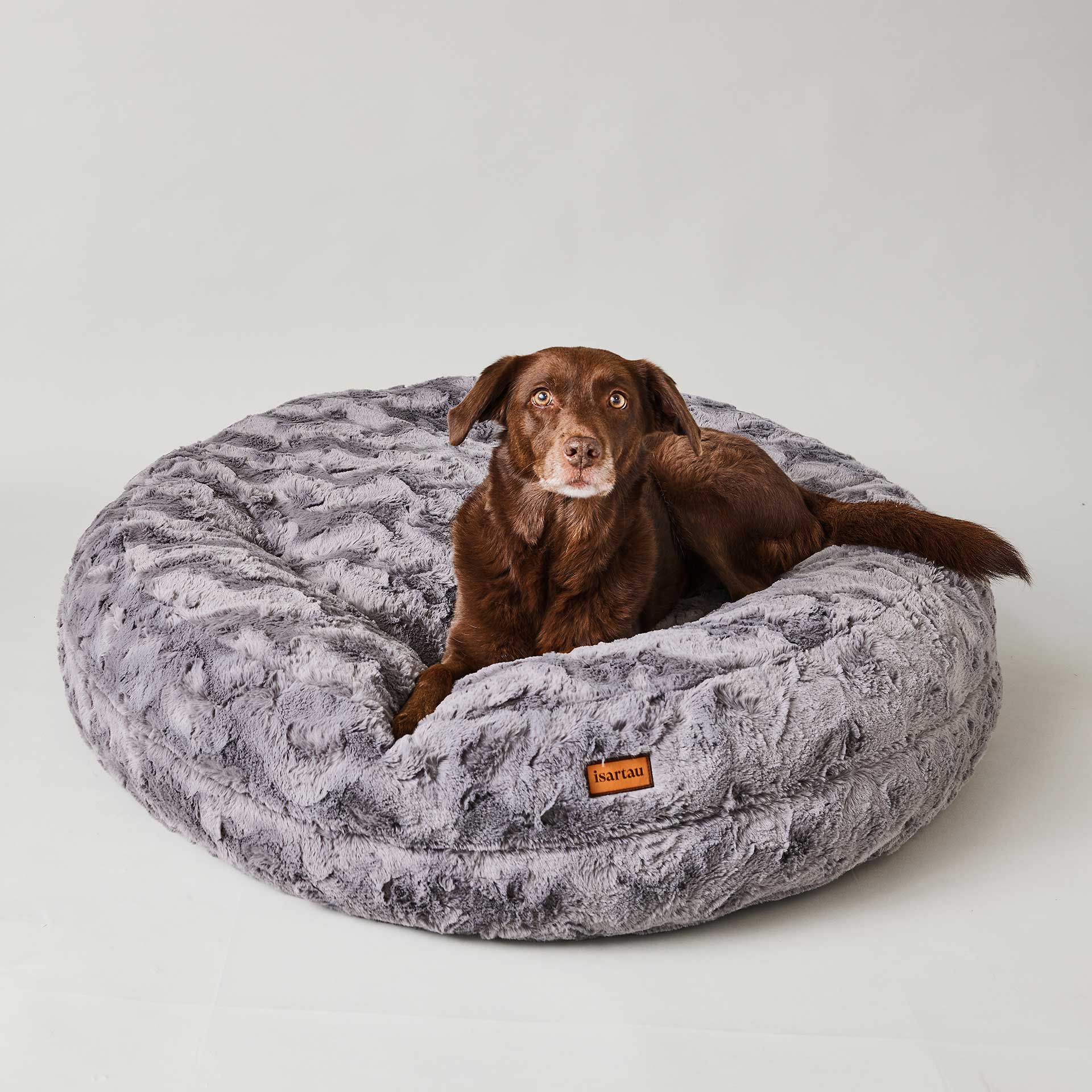 Aussiedor in Hundebett Bagelbettchen Grau, Größe M