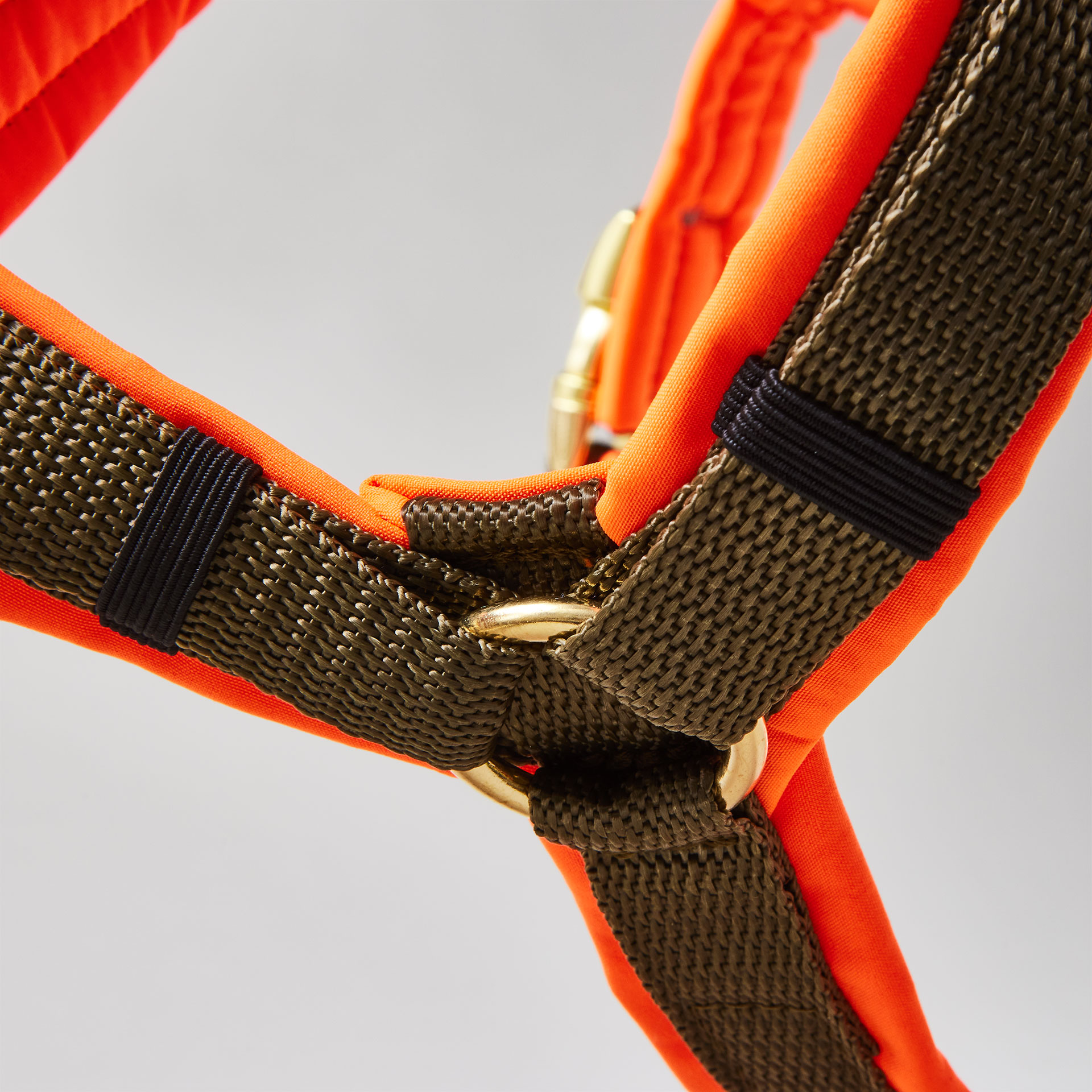 Y-förmiges Hundegeschirr Softie Neonorange Oliv mit neonoranger Polsterung aus Softshell, olivfarbenem Gurtband und goldfarbenen Beschlägen