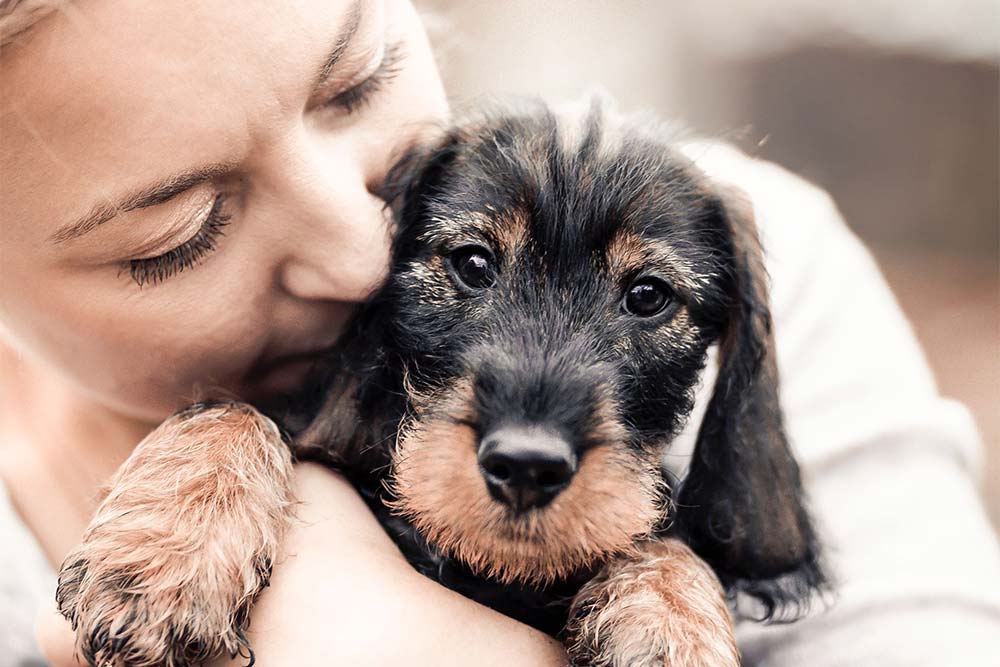 Frau kuschelt mit Dackelwelpe