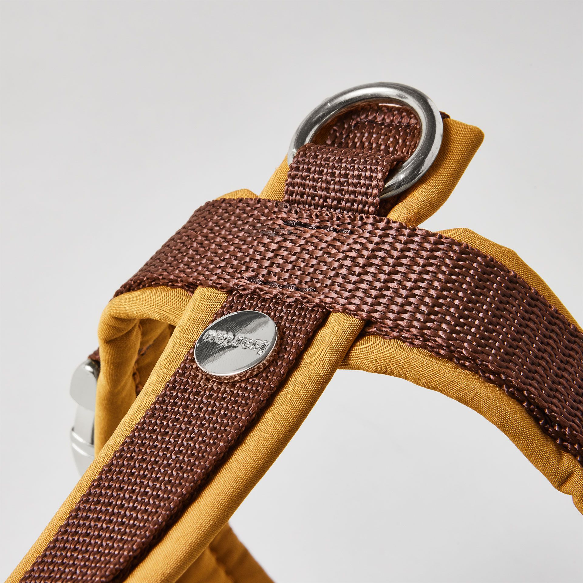 Rückenstück des zweifarbigen Hundegeschirrs Softie Karamell mit karamellfarbener Polsterung, braunem Gurtband, gepolstertem O-Ring und Logo-Niete, silberfarben