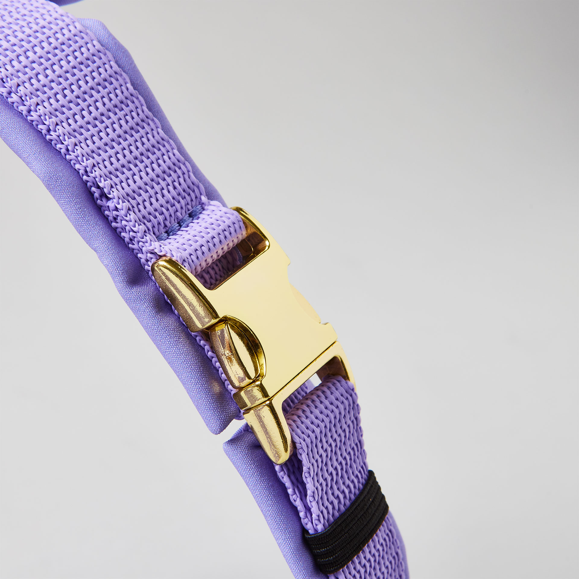 Verstellbare goldfarbene Steckschließe am Bauchgurt, lavendelfarbenes Hundegeschirr