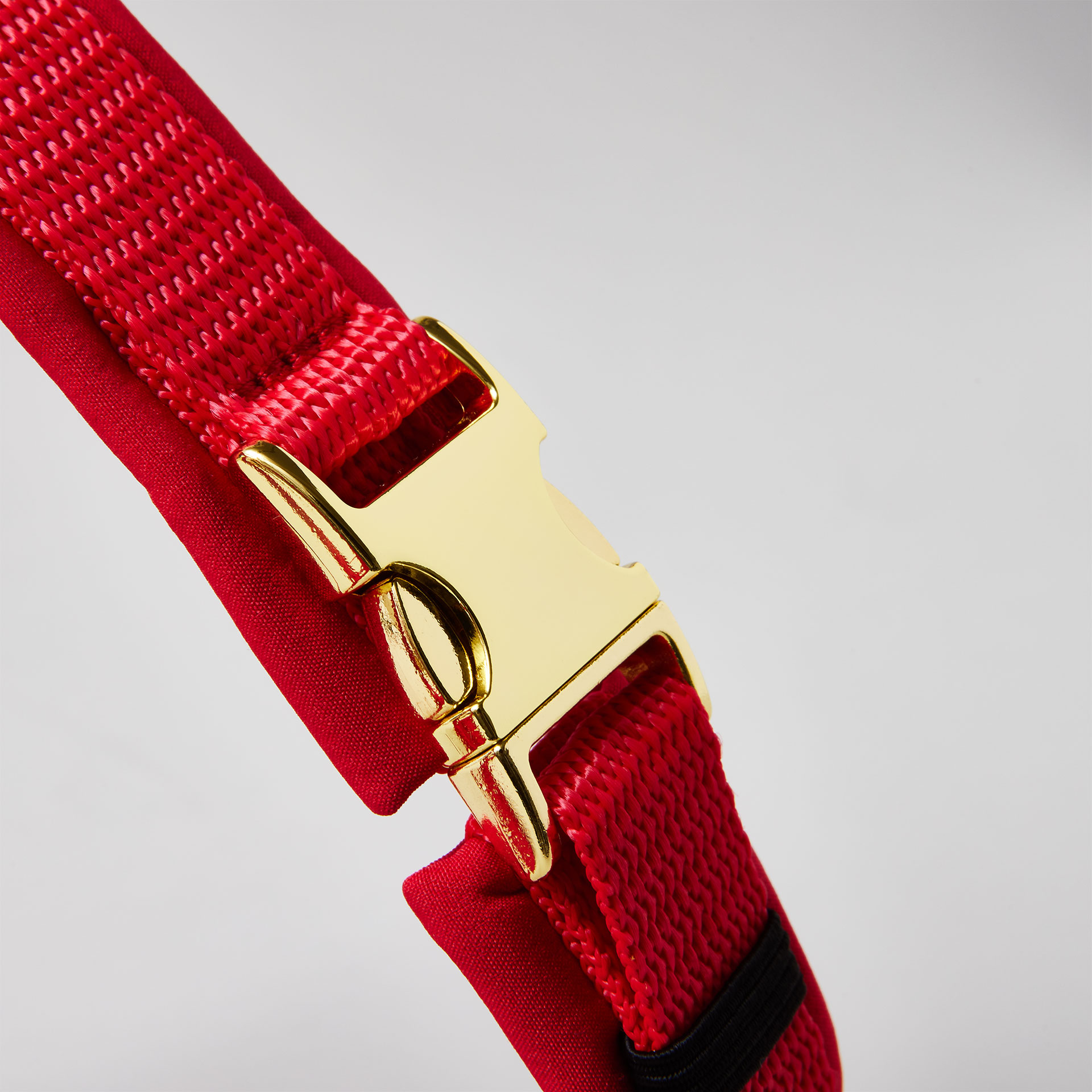 Verstellbare goldfarbene Steckschließe am Bauchgurt, rotes Hundegeschirr