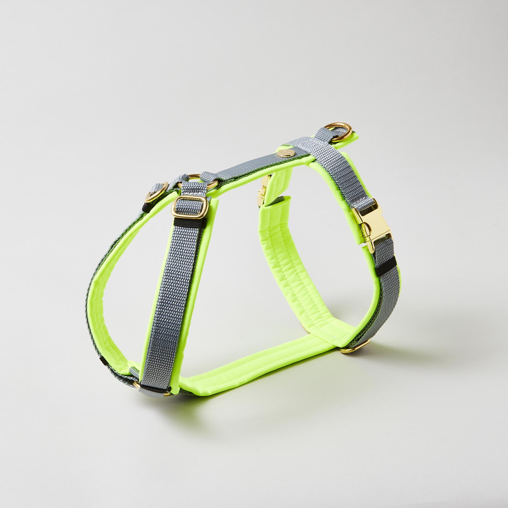 Verstellbares Hundegeschirr Softie Neongelb Grau mit grauem Gurtband und vollunterlegter Polsterung aus neongelbem Softshell, goldfarbene Beschläge