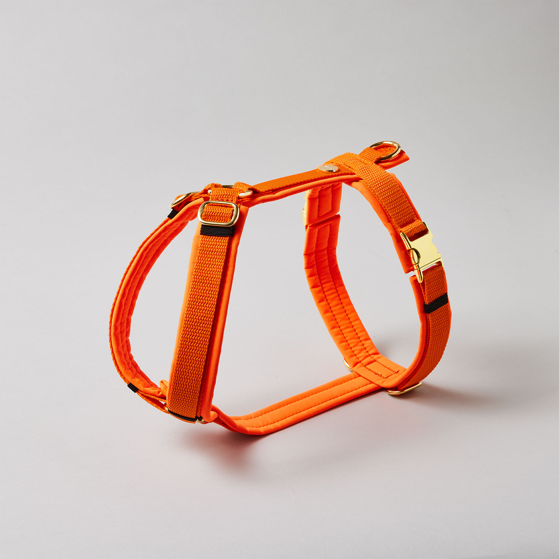 Verstellbares Hundegeschirr in Neonorange mit vollunterlegter Polsterung und goldfarbenen Beschlägen