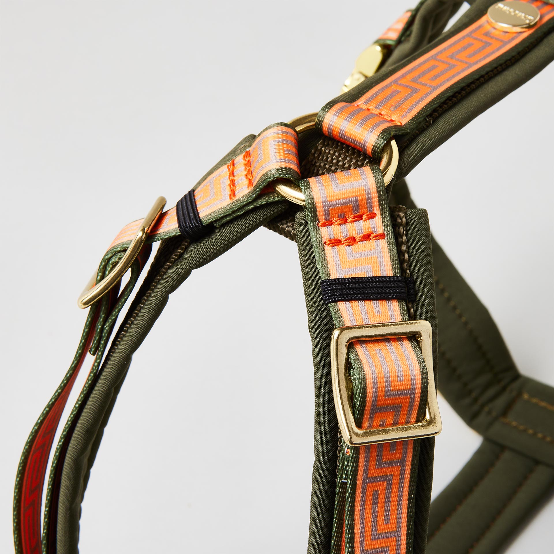 Nahaufnahme verstellbares gepolstertes Hundegeschirr Wellenbrecher mit goldfarbenem Gurtbandschieber zur Größenregulierung