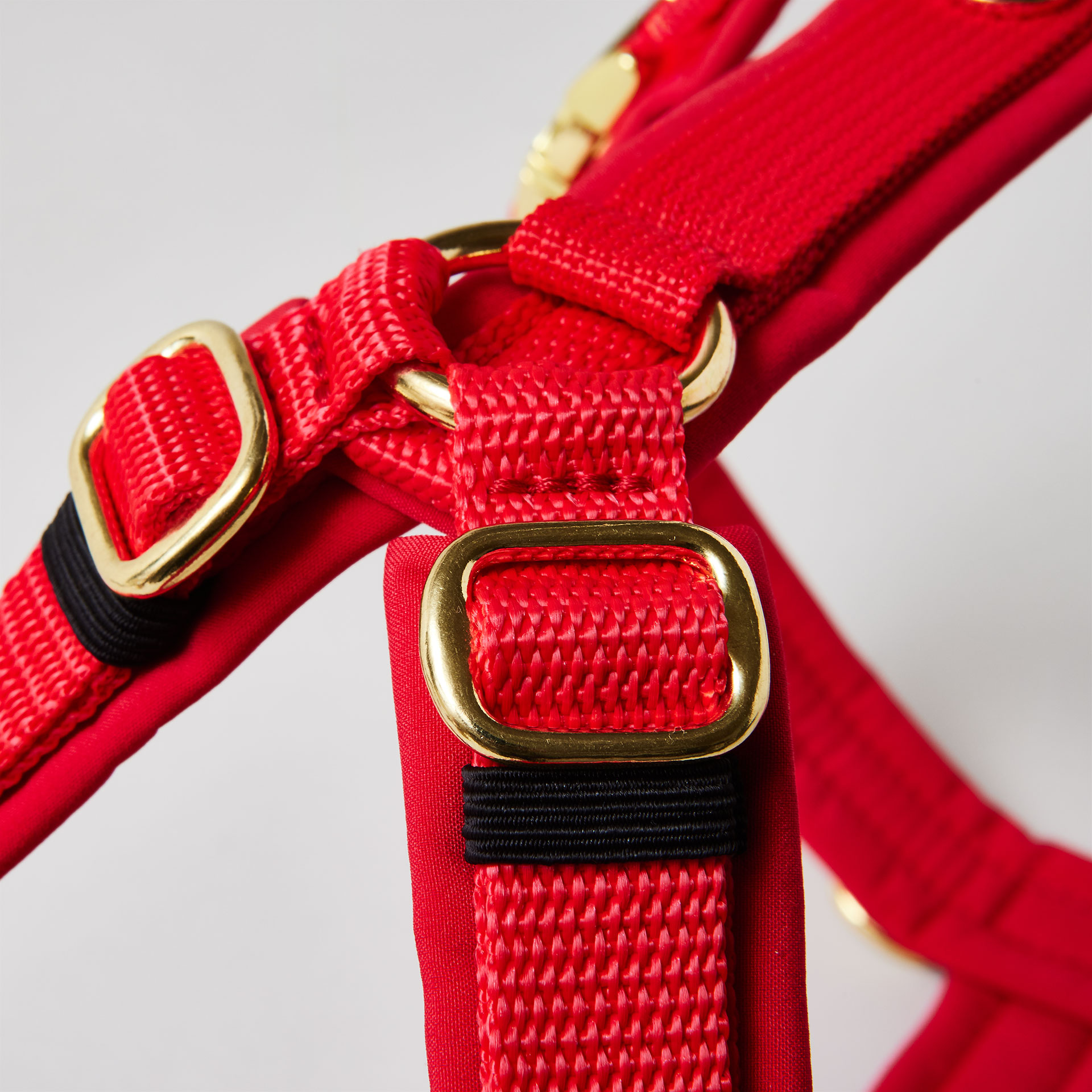 Goldfarbene verstellbare Schieber im Schulterbereich des roten Hundegeschirrs