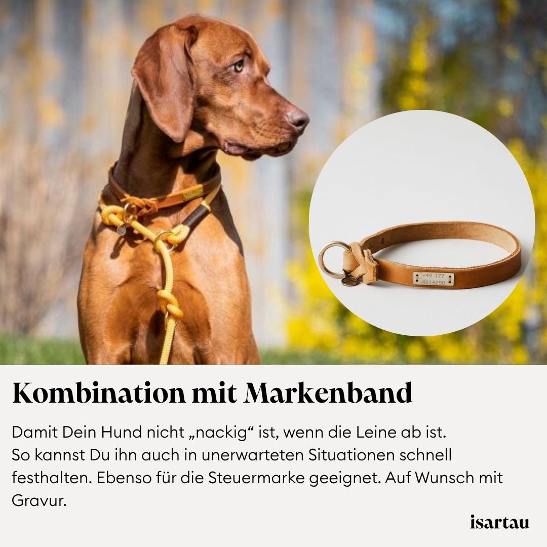 Retrieverleine ergänzt um Markenband aus Leder