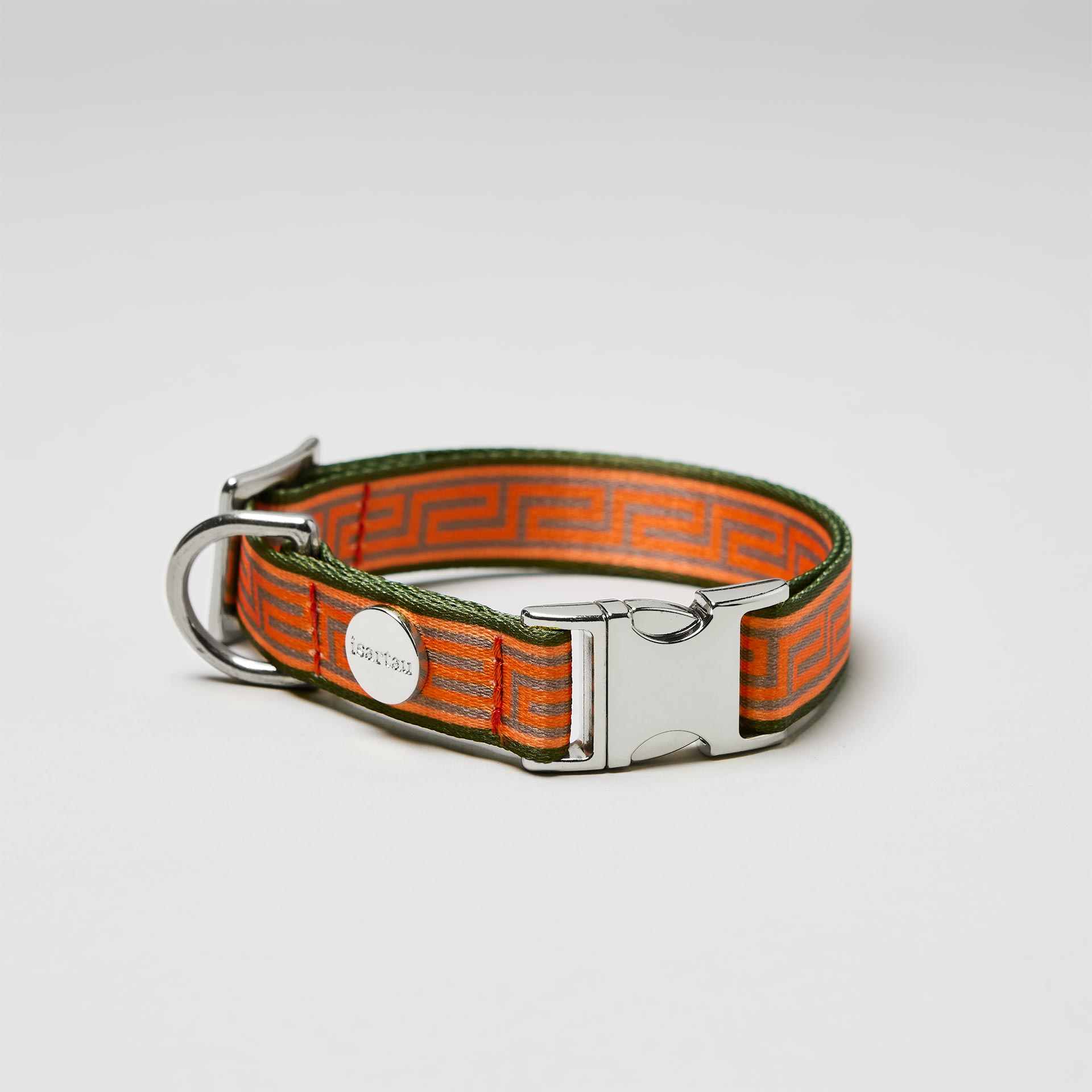 Detailaufnahme verstellbares Welpenhalsband Wellenbrecher mit offener silberfarbener Steckschließe, Gurtband mit Mäander Motiv