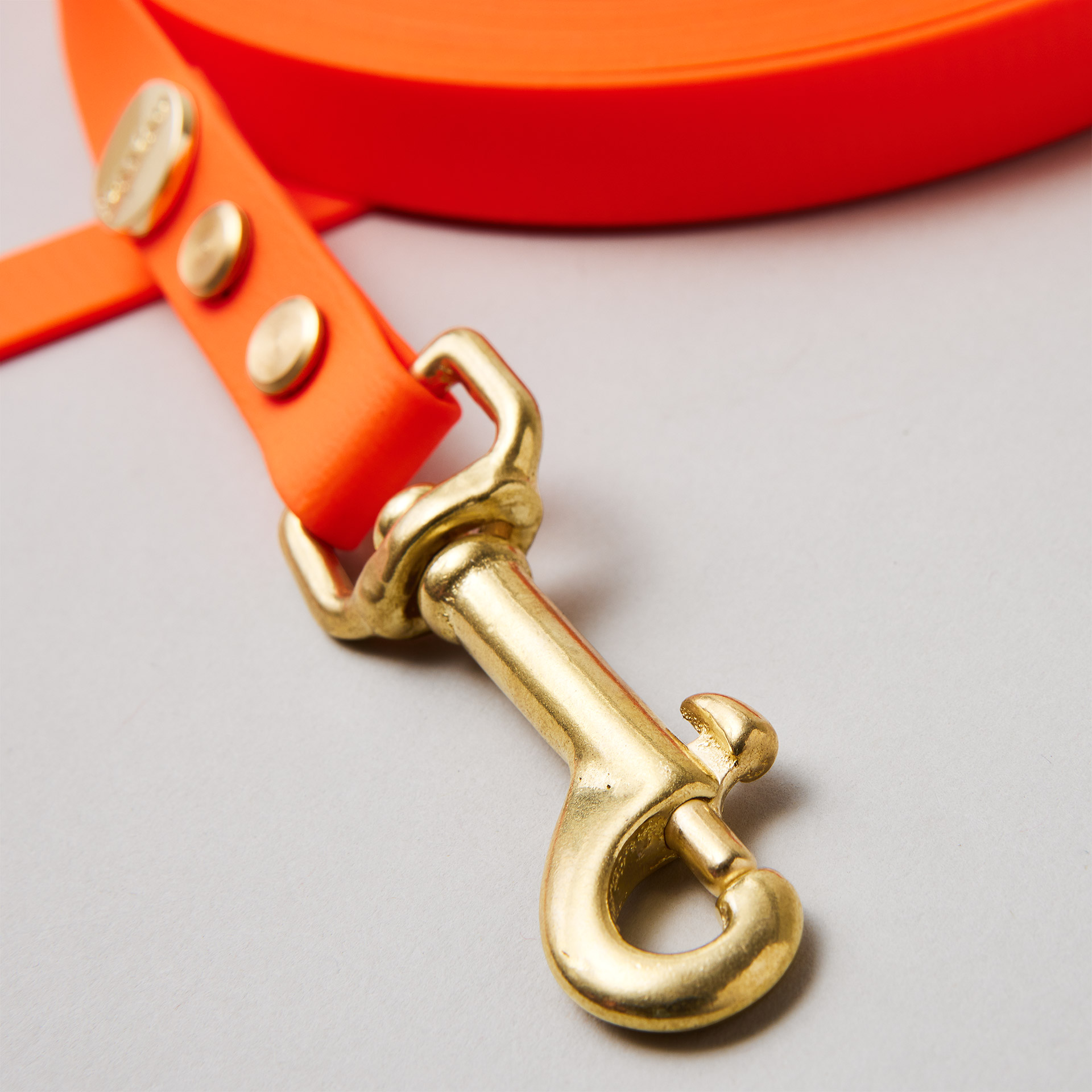 Bolzenkarabiner Messing an Schleppleine in Neonorange, an 16mm Biothane