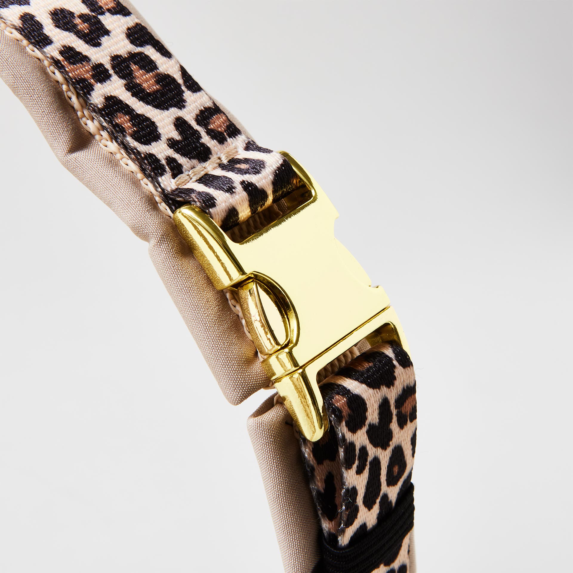 Detail gepolstertes Hundegeschirr Leo mit goldfarbener Steckschließe zum Öffnen und Schließen