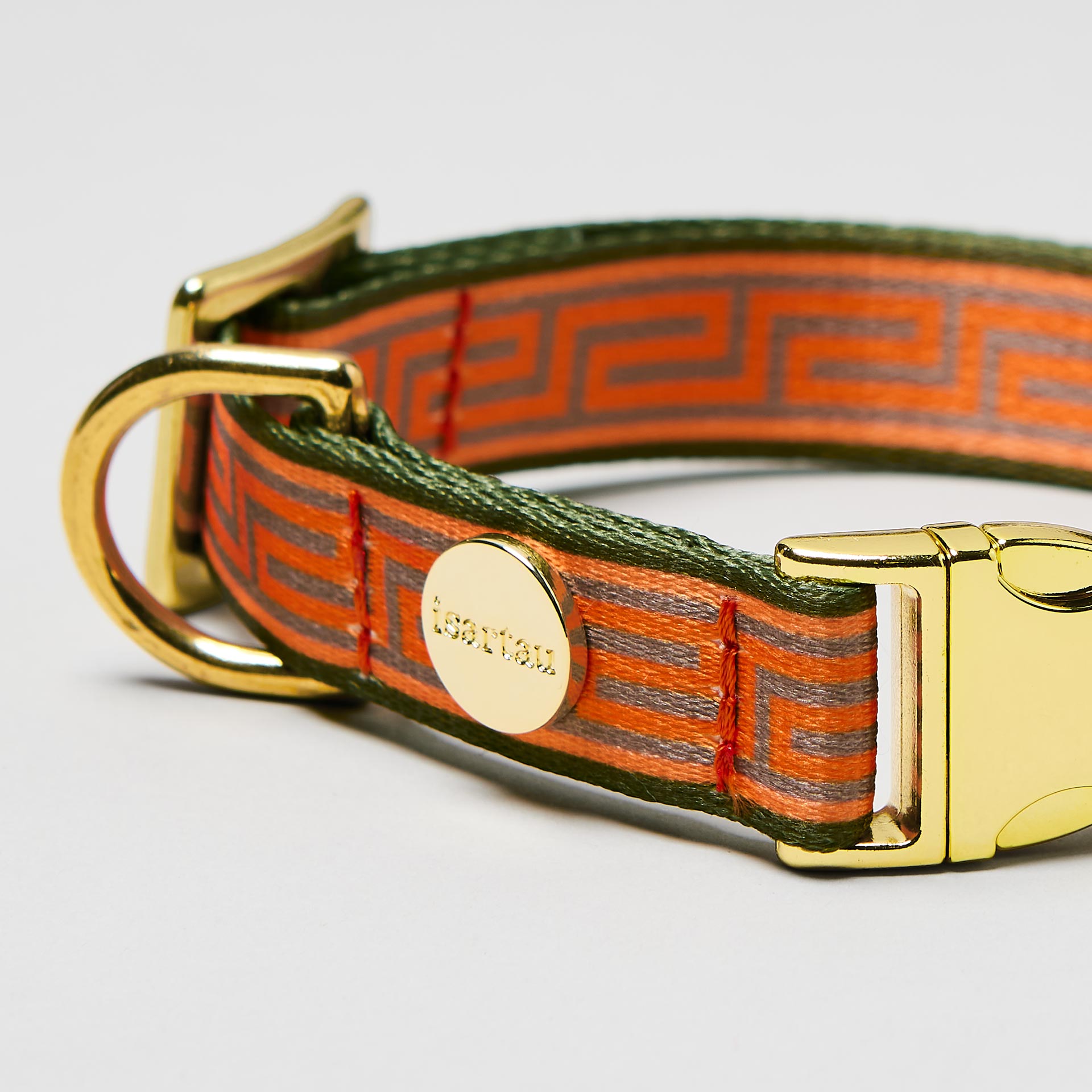 Nahaufnahme verstellbares Welpen Halsband Wellenbrecher mit Gurtband im Mäander Stil, Orange Oliv, goldfarbene Steckschließe