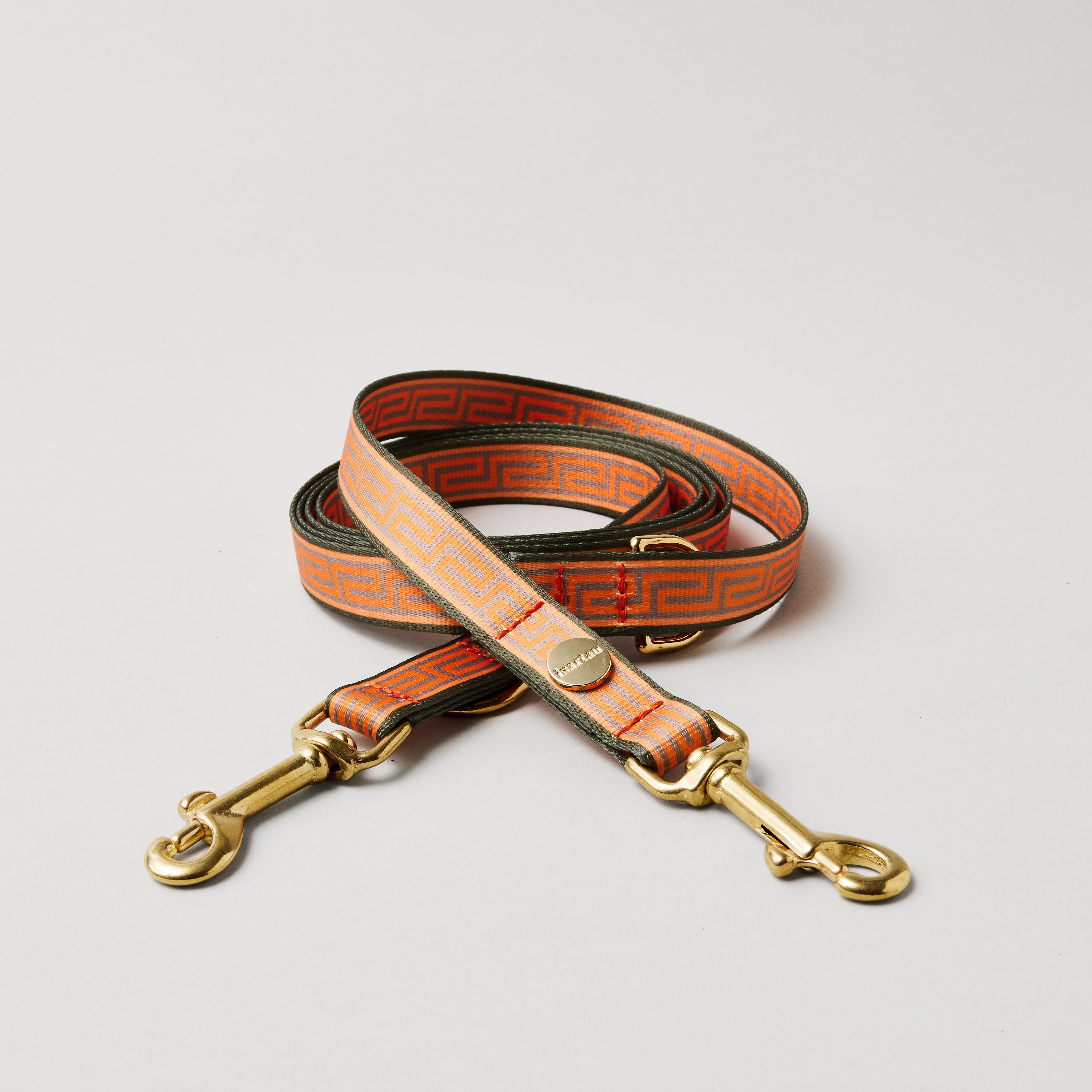 Verstellbare Hundeleine Wellenbrecher Gurtband mit Mäander Muster Orange Oliv goldfarbene Messingbolzenkarabiner Breite 20 mm