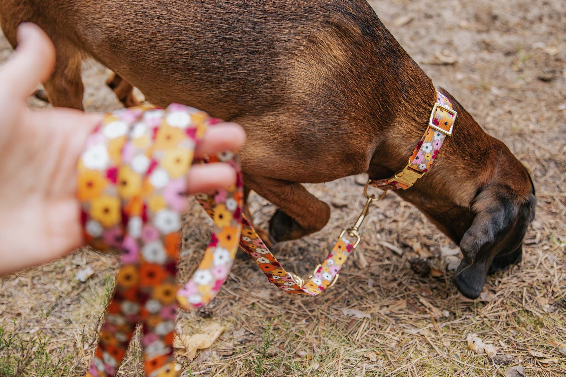 BGS Cleo mit Designerleine Blumenmeer, Design floral mit beige, rosa, goldgelber Farbgebung