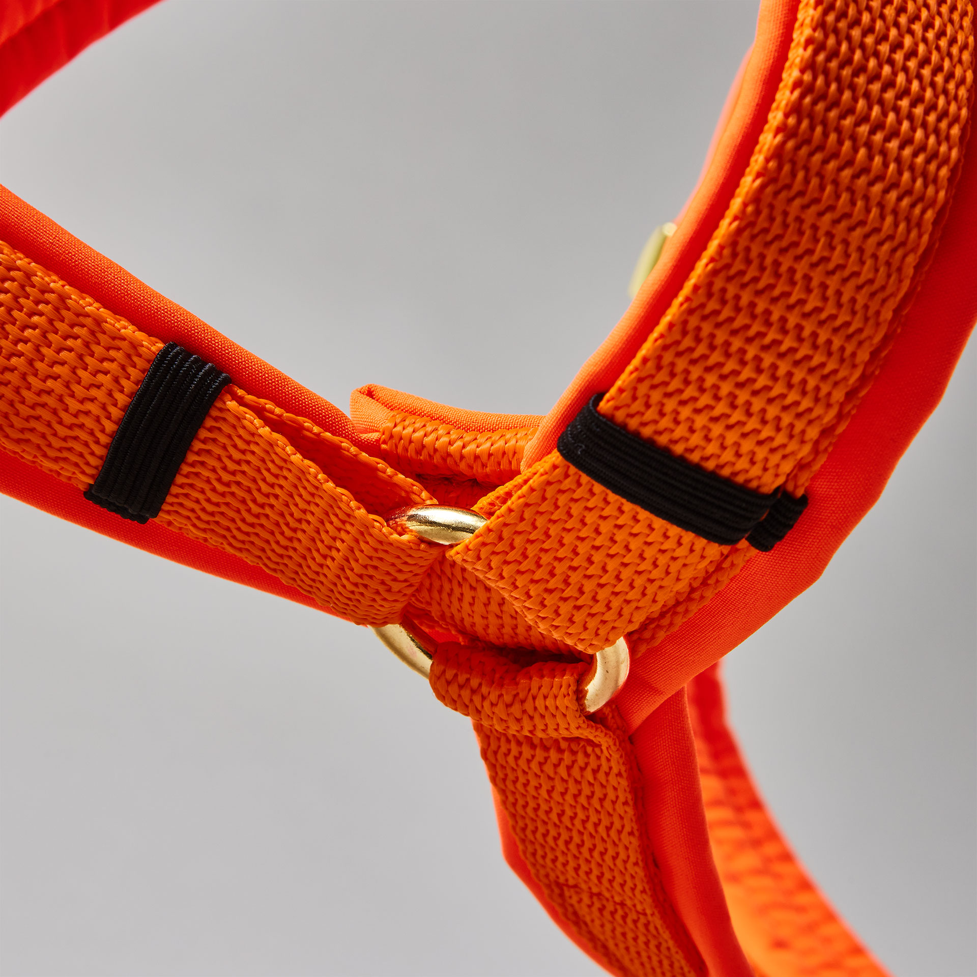 Y-förmiges Hundegeschirr in Neonorange mit Polsterung aus Softshell und goldfarbenen Beschlägen