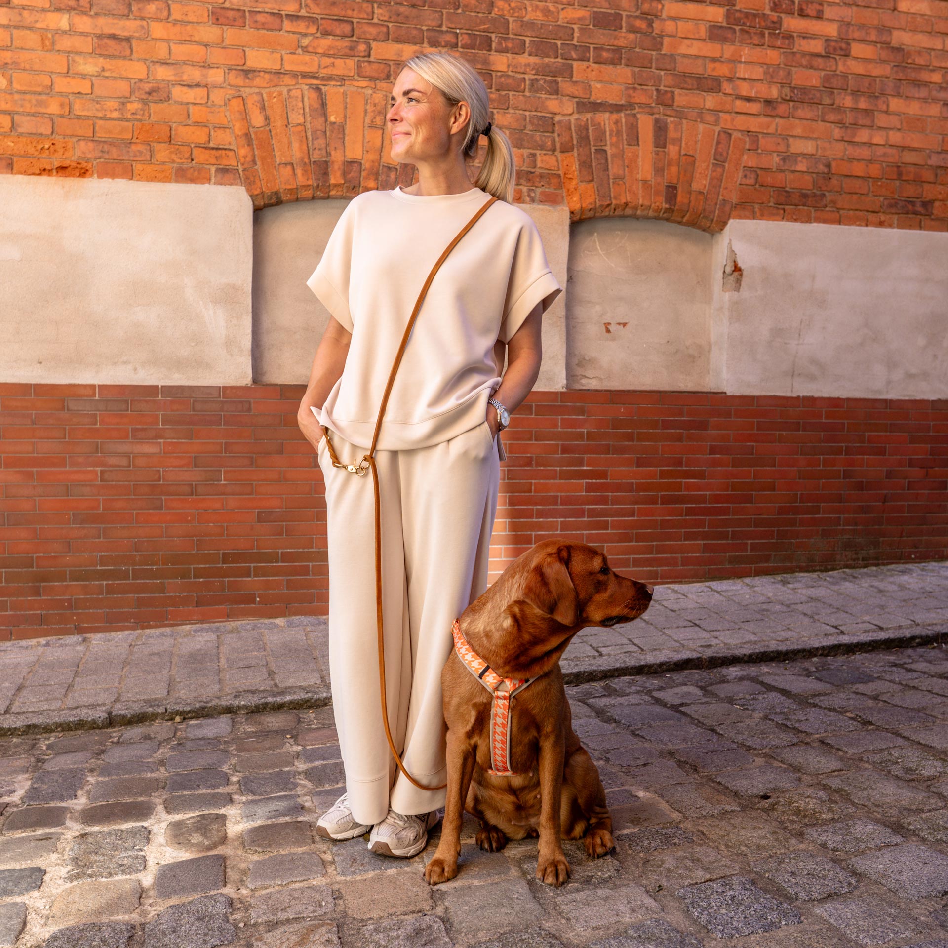 Labrador Hund trägt gepolstertes Brustgeschirr WANDLER mit passender Lederleine in der Farbe Cognac